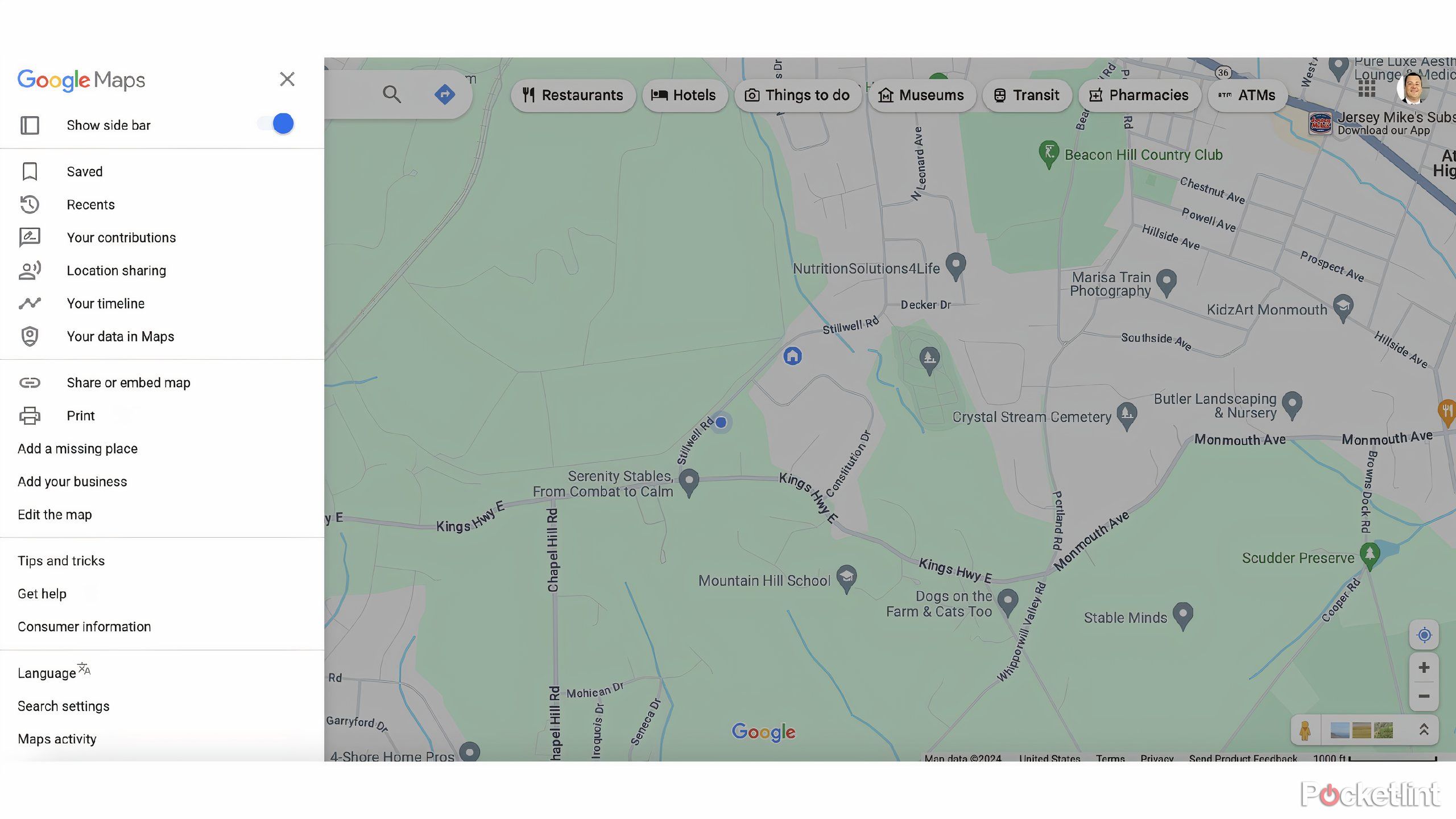 Google Maps Interface