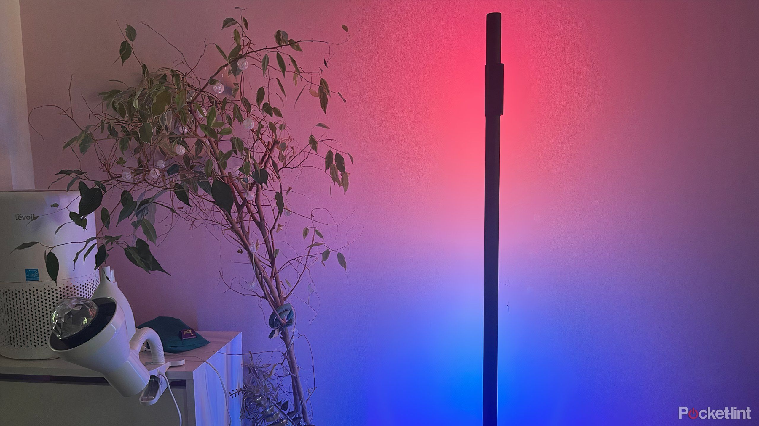 A floor lamp creating blue and pink light. 