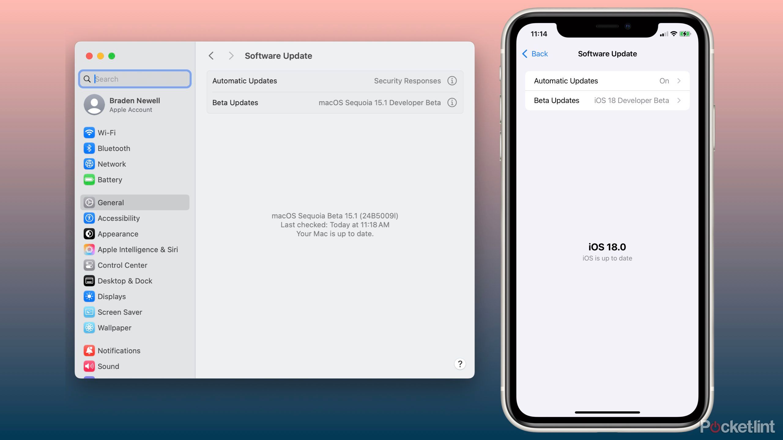 iOS 18 and macOS Sequoia update panels.