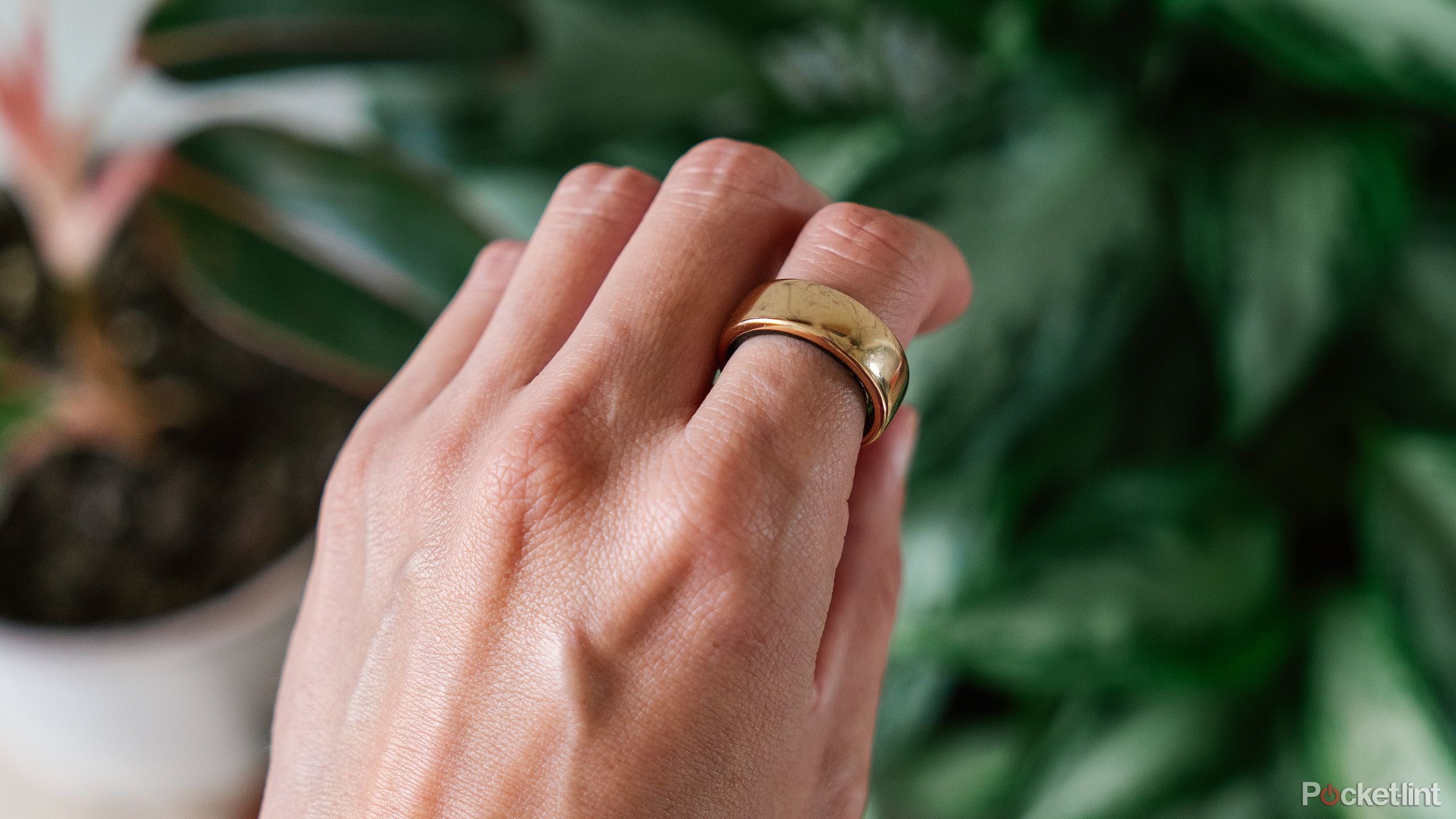 The Oura Ring 3 is placed on the index finger of a hand above potted plants. 