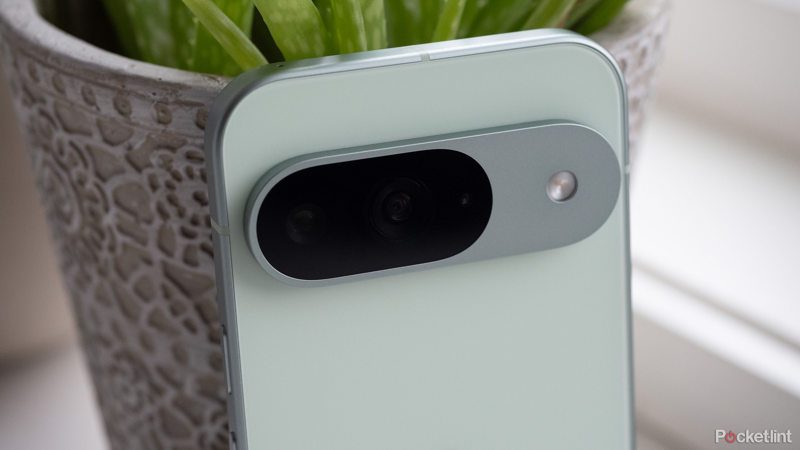 Google's Pixel 9 Pro in wintergreen