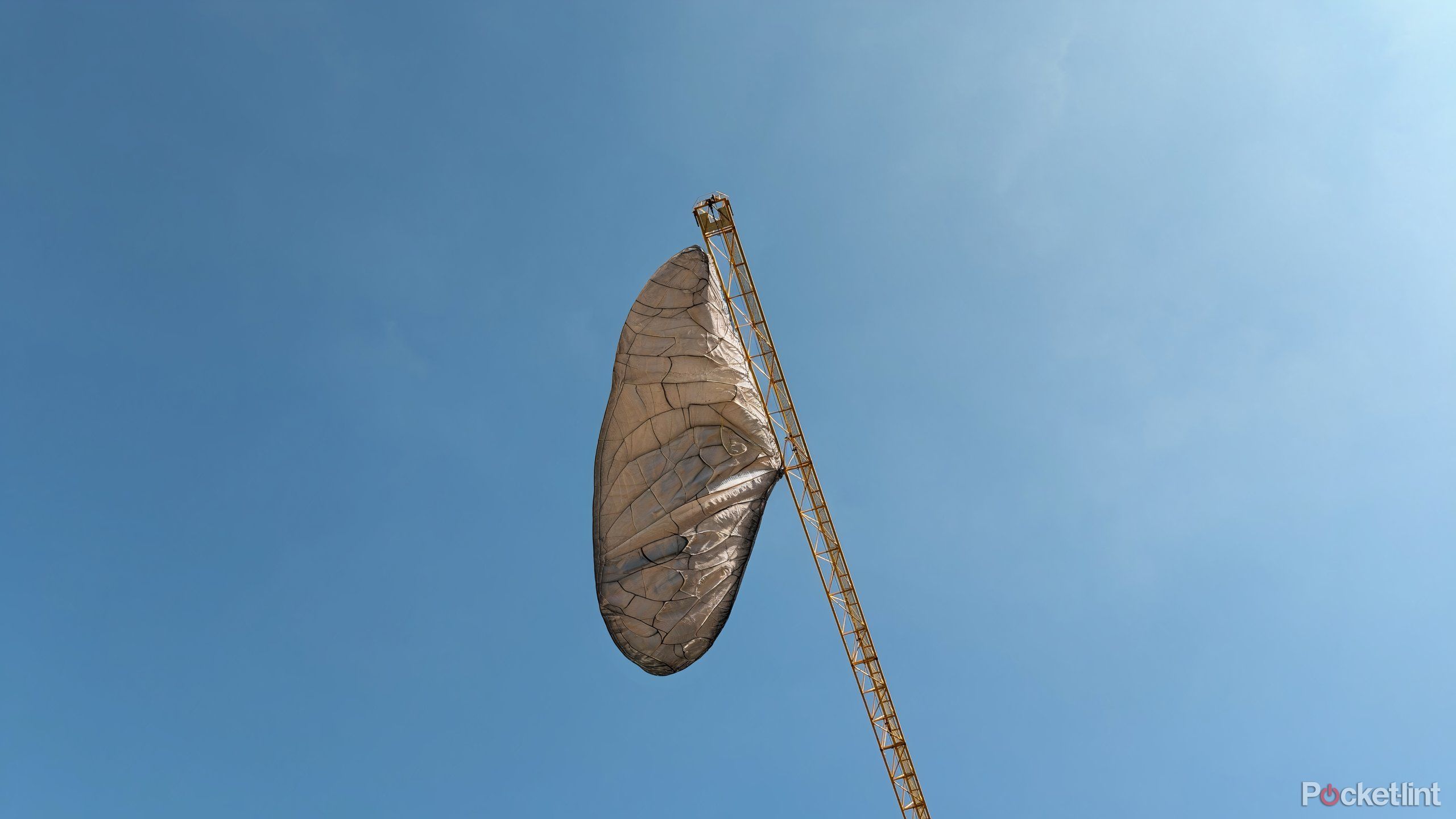 A butterfly cocoon hanging from a crane.