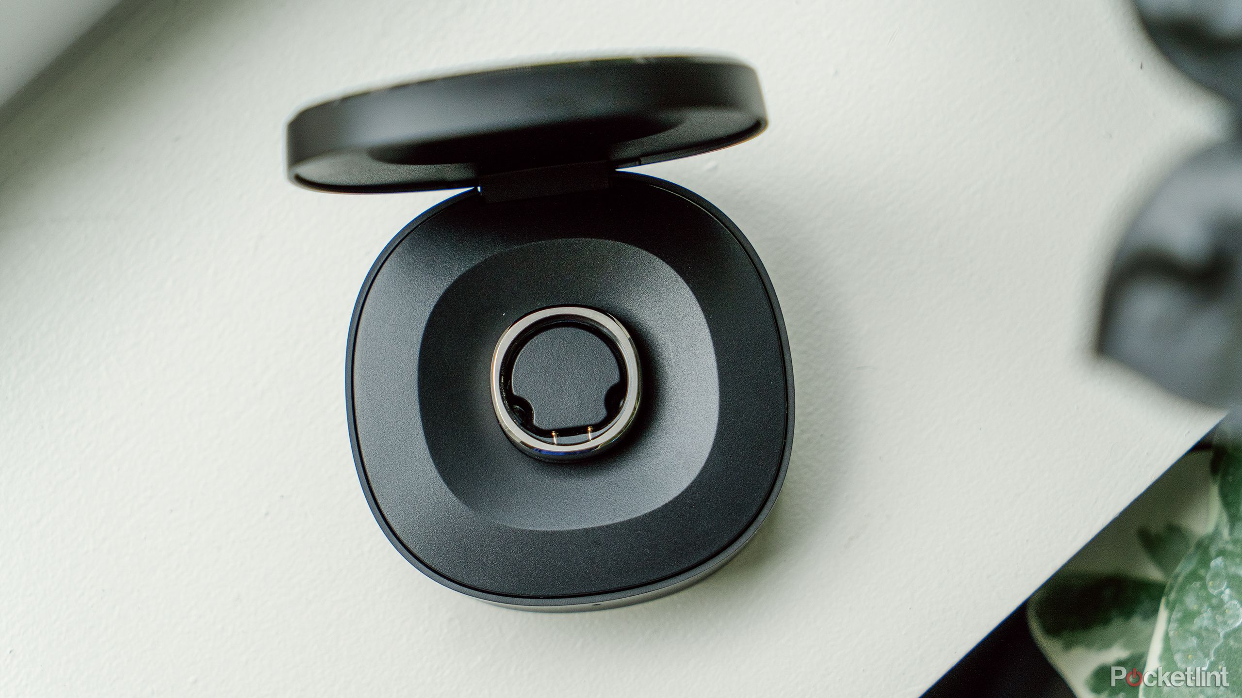 The charging case for the RingConn Smart Ring sits on a windowsill next to plants.