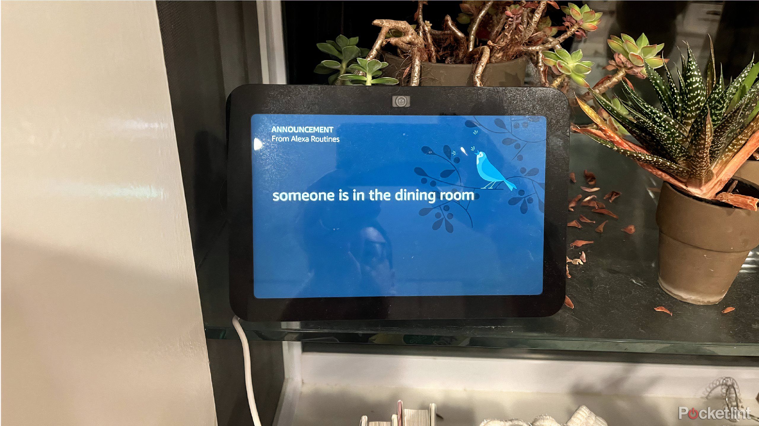 amazon echo show 8 displaying a message from meross ms600