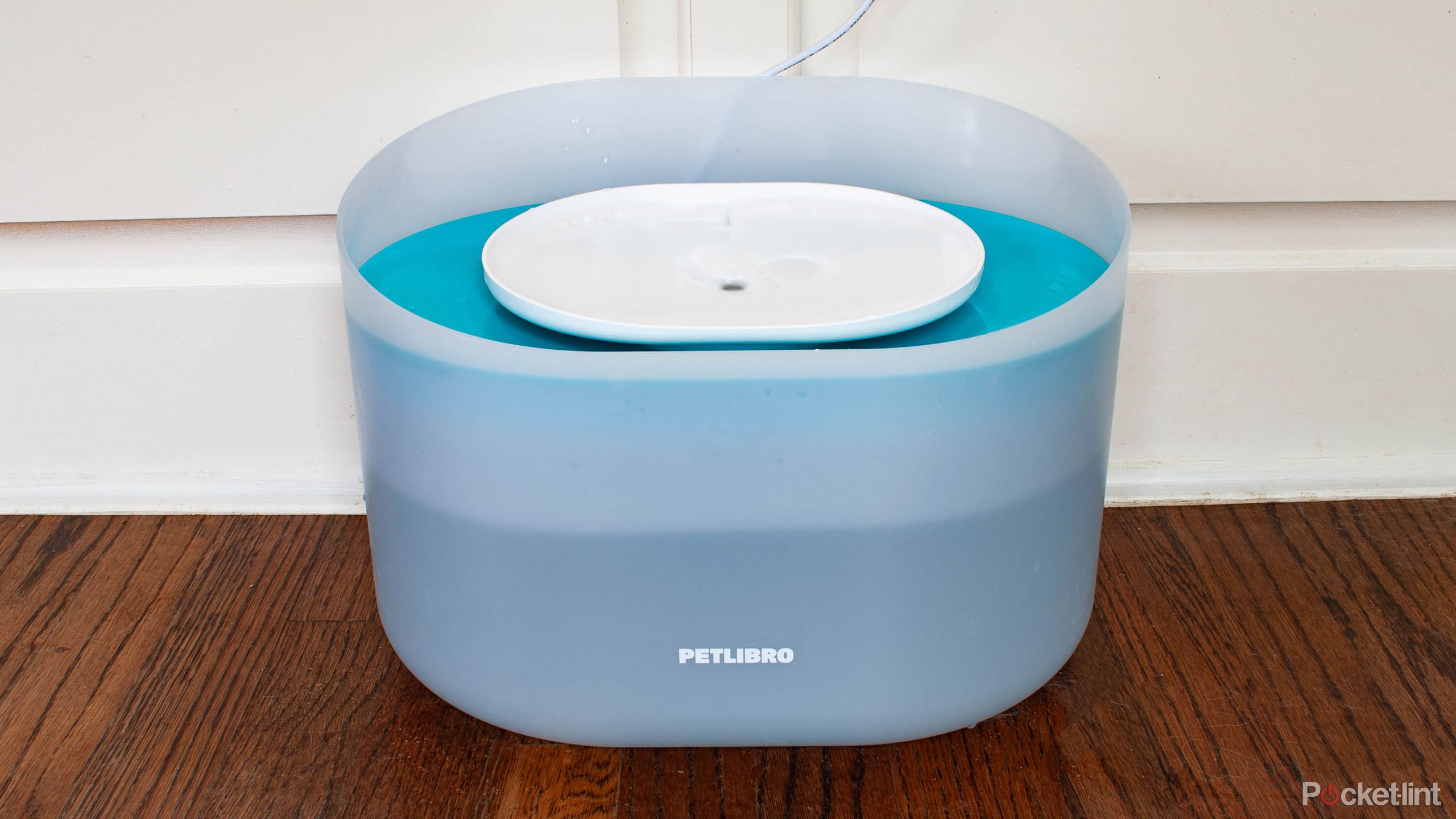 PetLibro Capsule Dog Fountain front