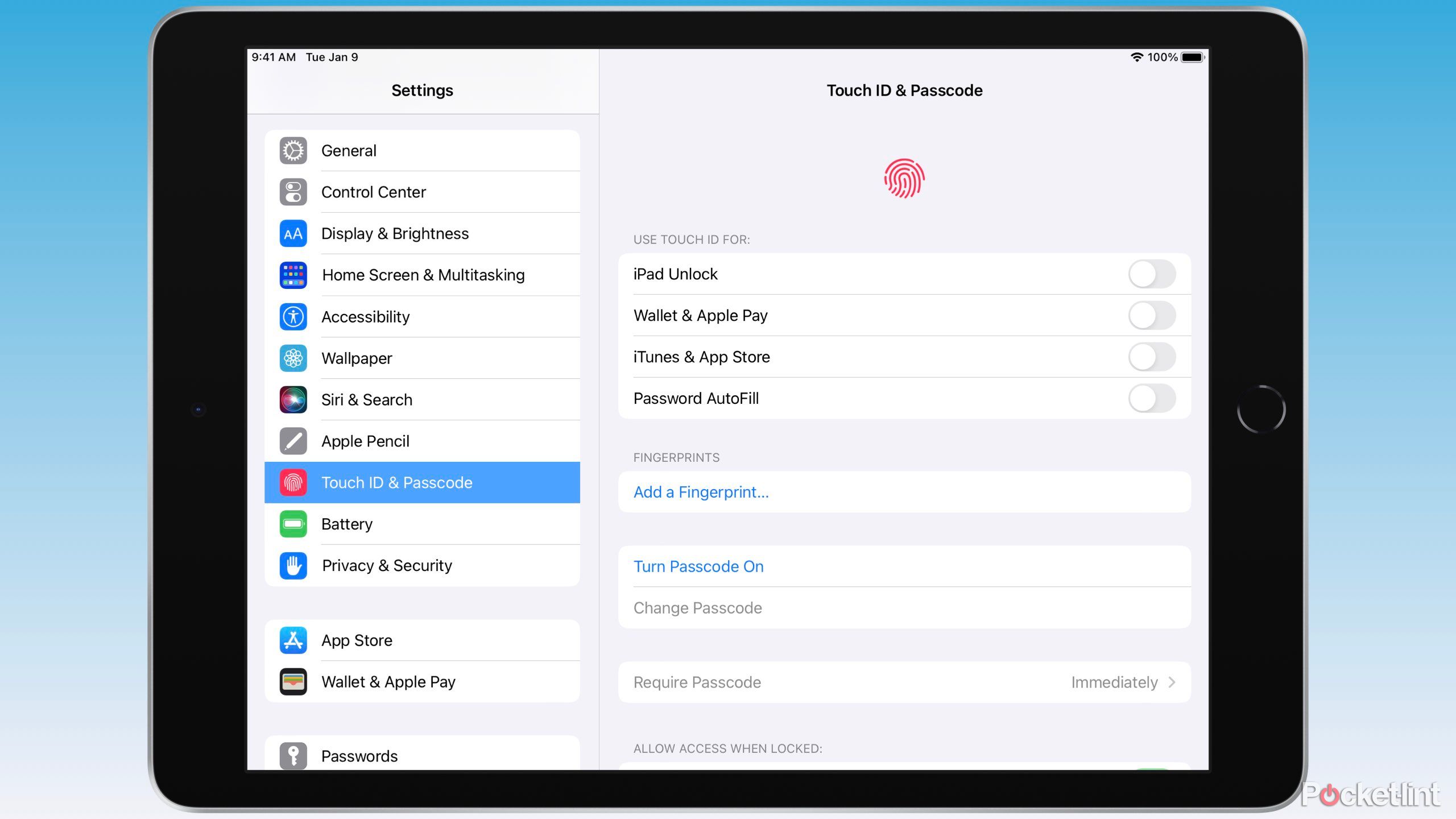 Touch ID & Passcode screen within Settings on iPadOS.