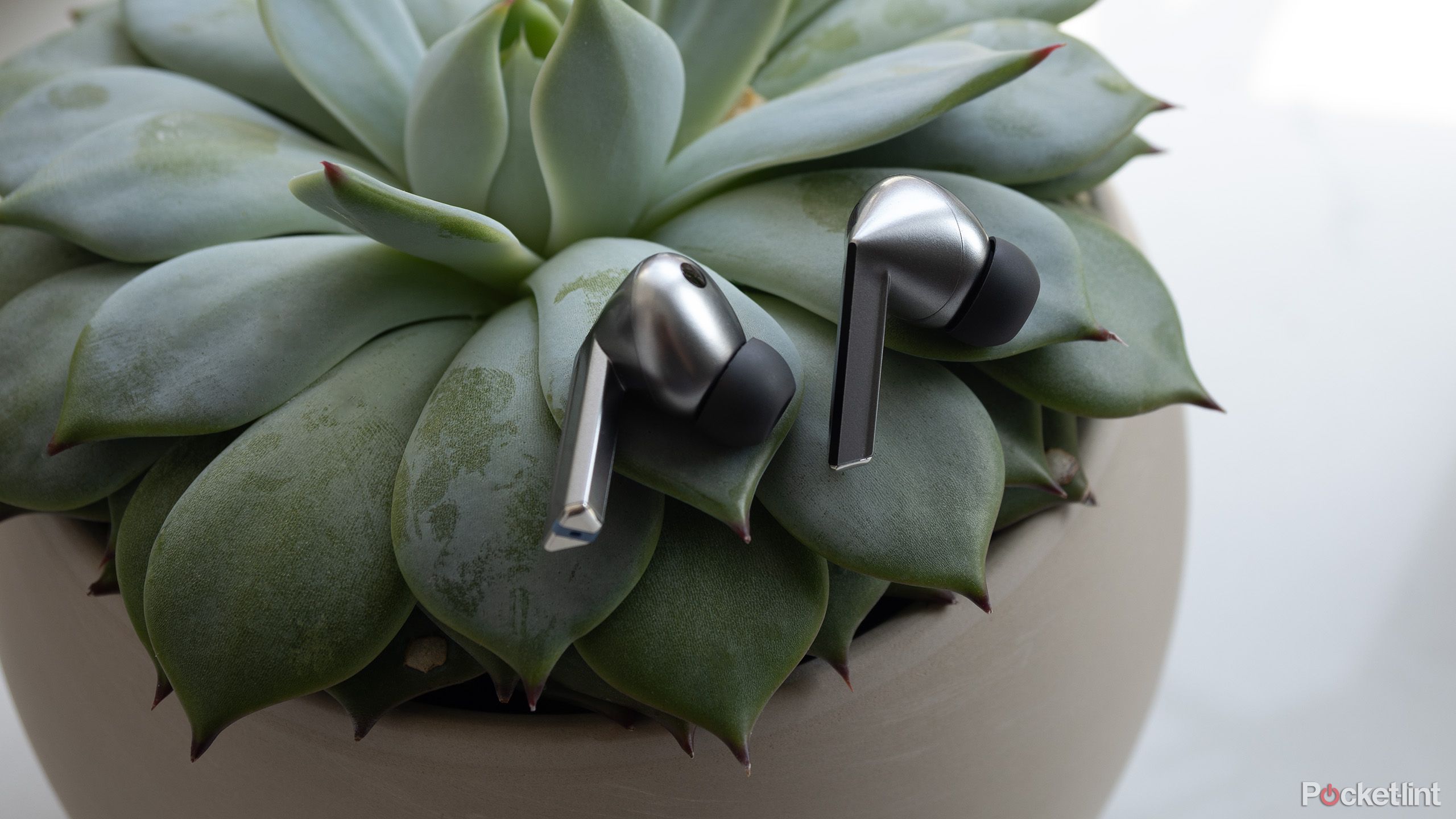 Galaxy-Buds-3-Pro-Sit-on-Plant