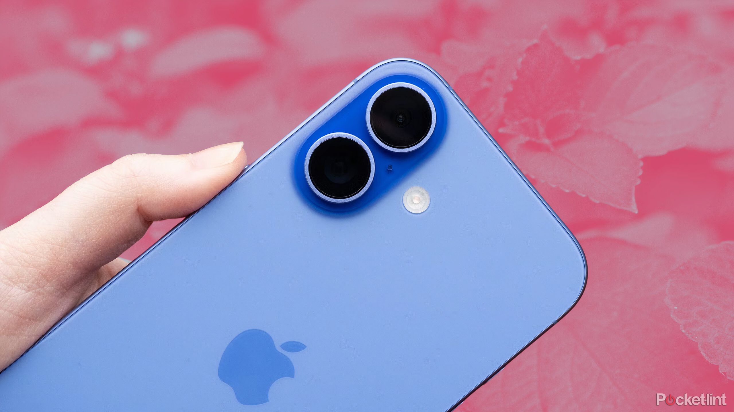 A blue iPhone 16 being held in front of some red and pink leaves.