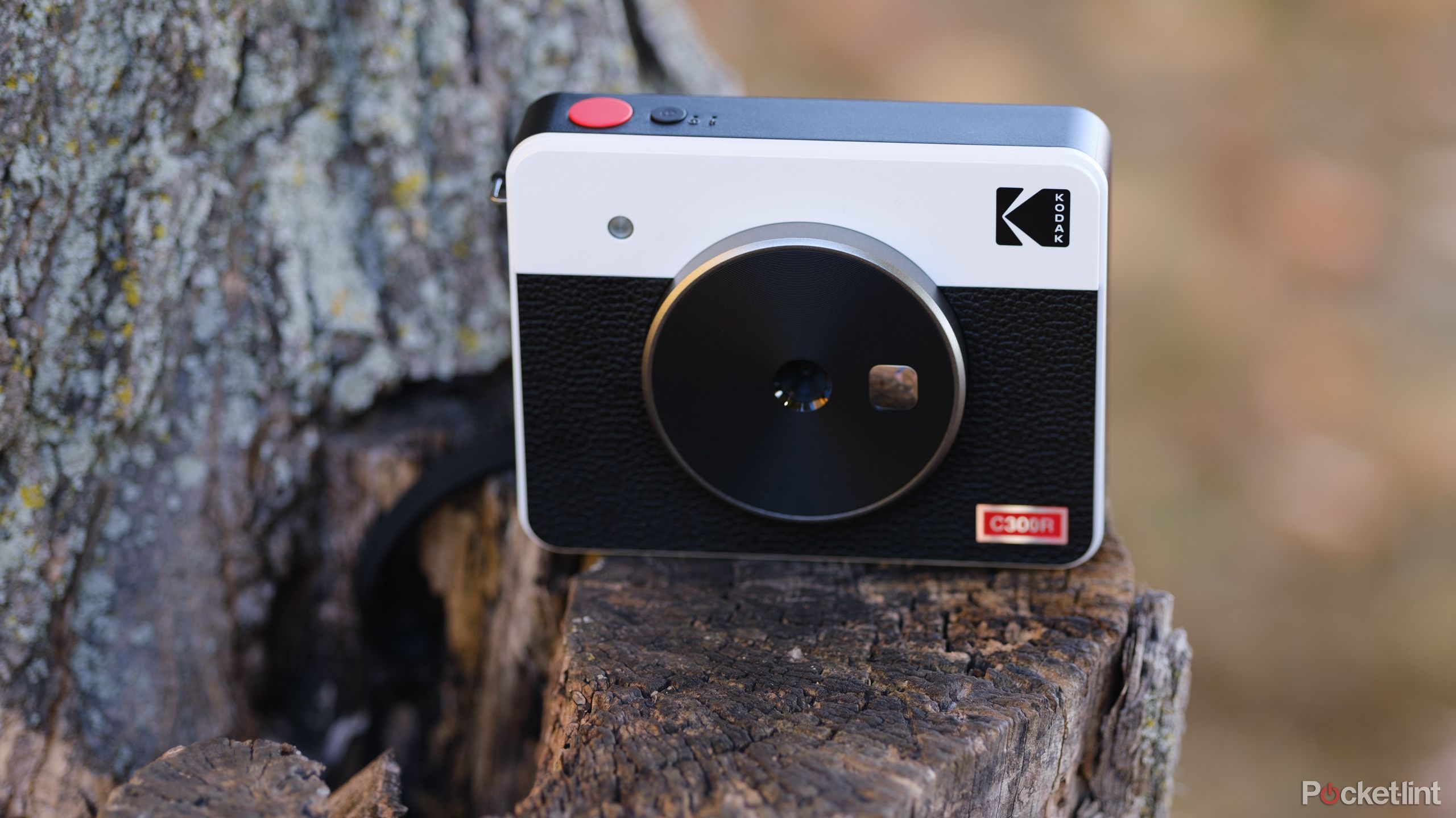 The Kodak Mini Shot 3 Retro sits on a stump outside