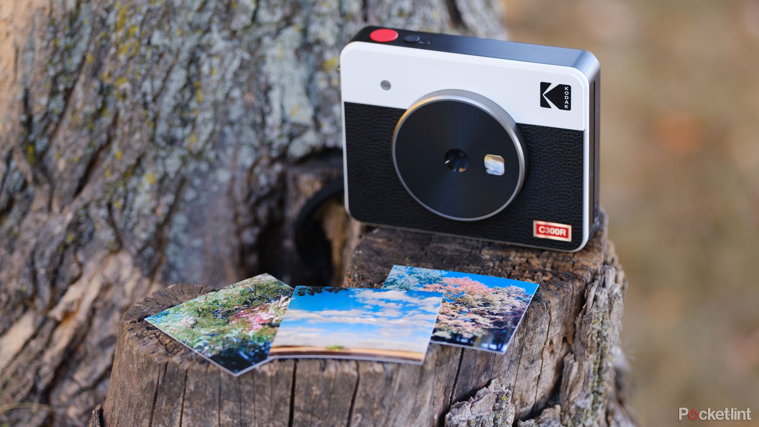 The Kodak Mini Shot 3 Retro sits on a stump outside