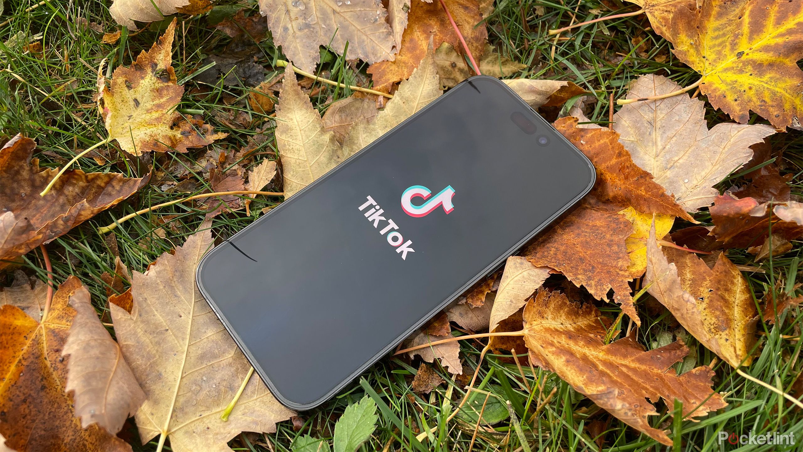 Application TikTok sur iPhone dans un tas de feuilles à l'extérieur