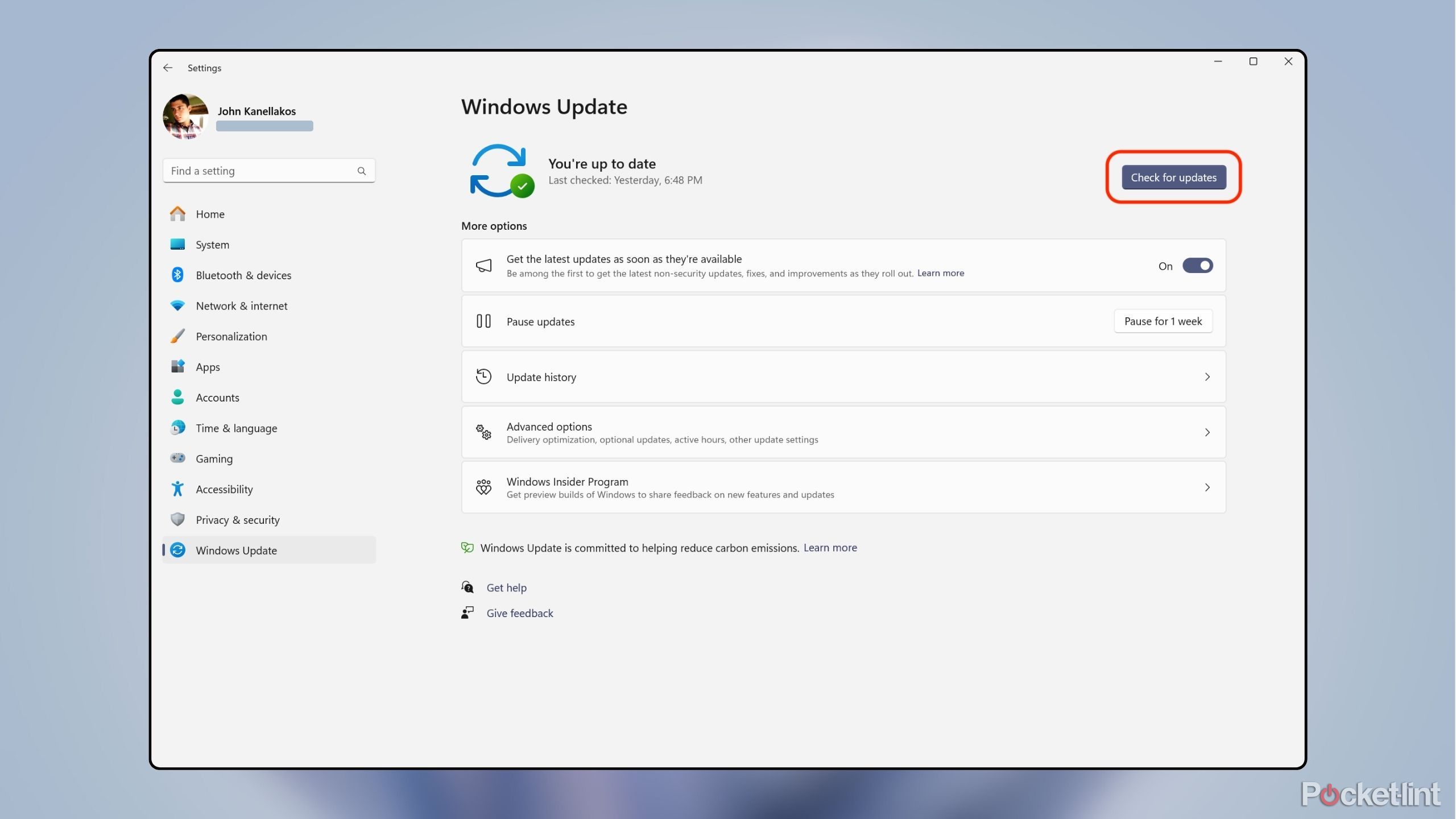 Windows Update screen on Windows 11