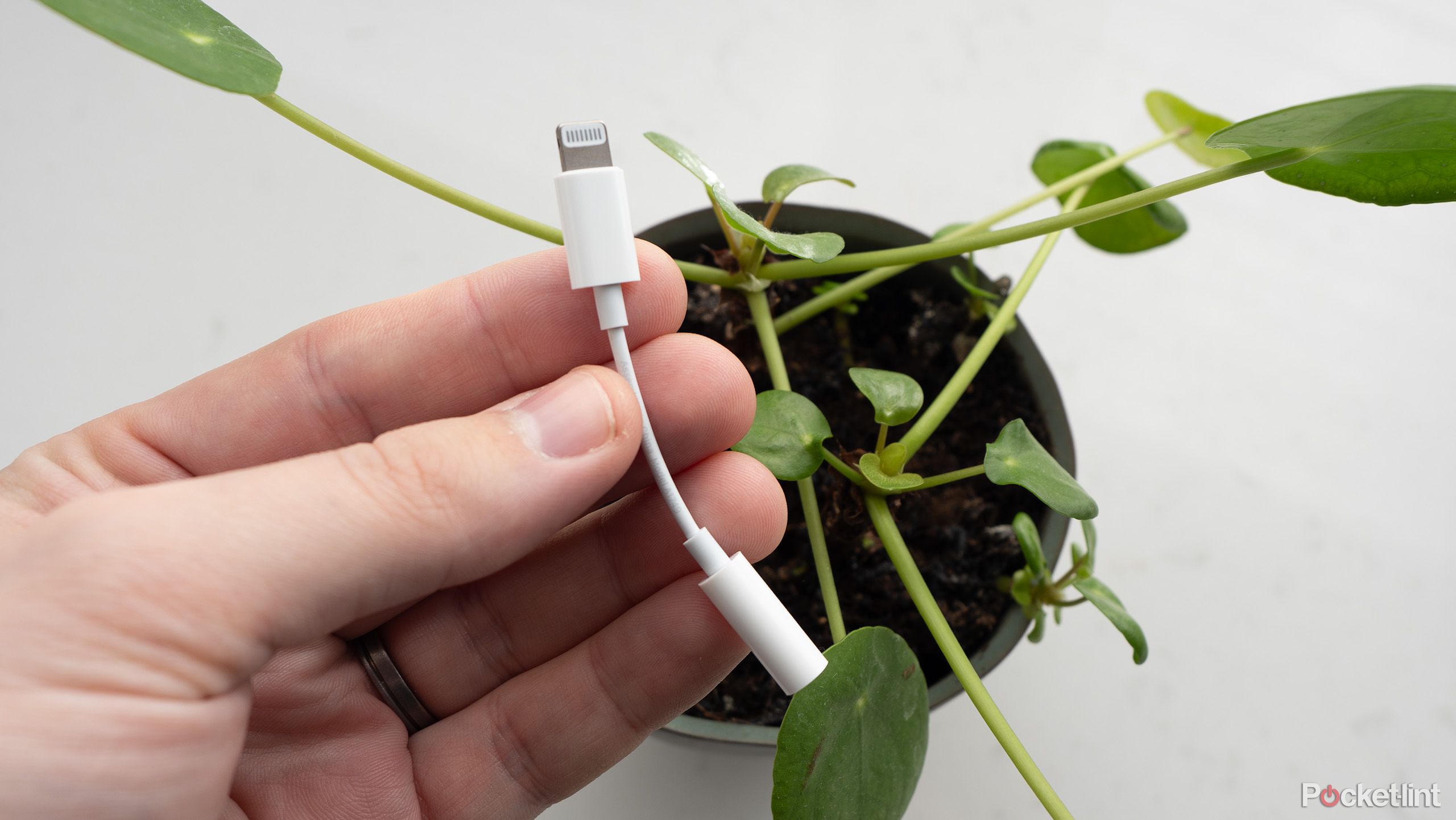 Apple's Lightning-to-3.5mm adapter