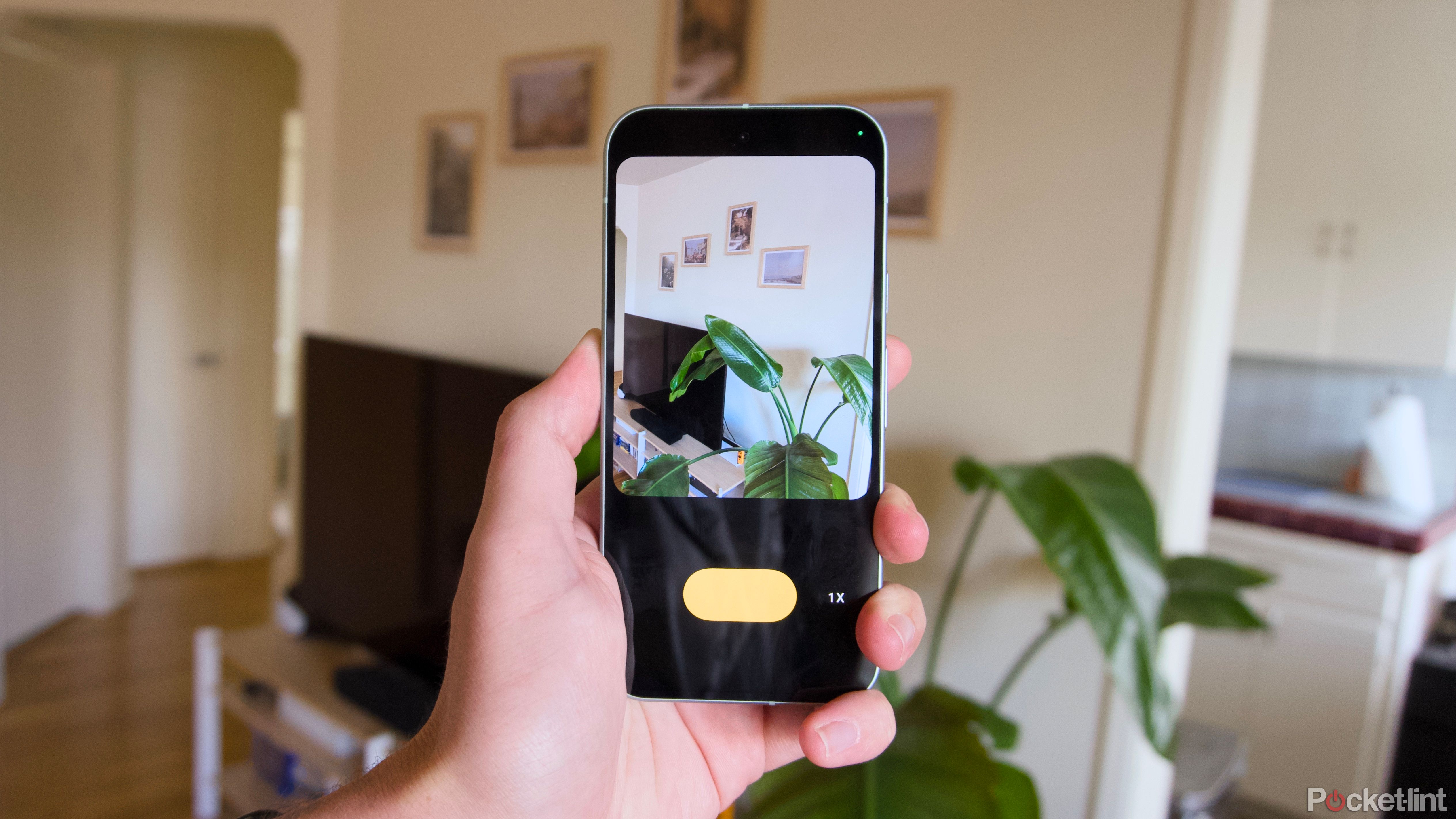 A hand holding a Pixel 9 taking a picture of a plant with the Zerocam app.