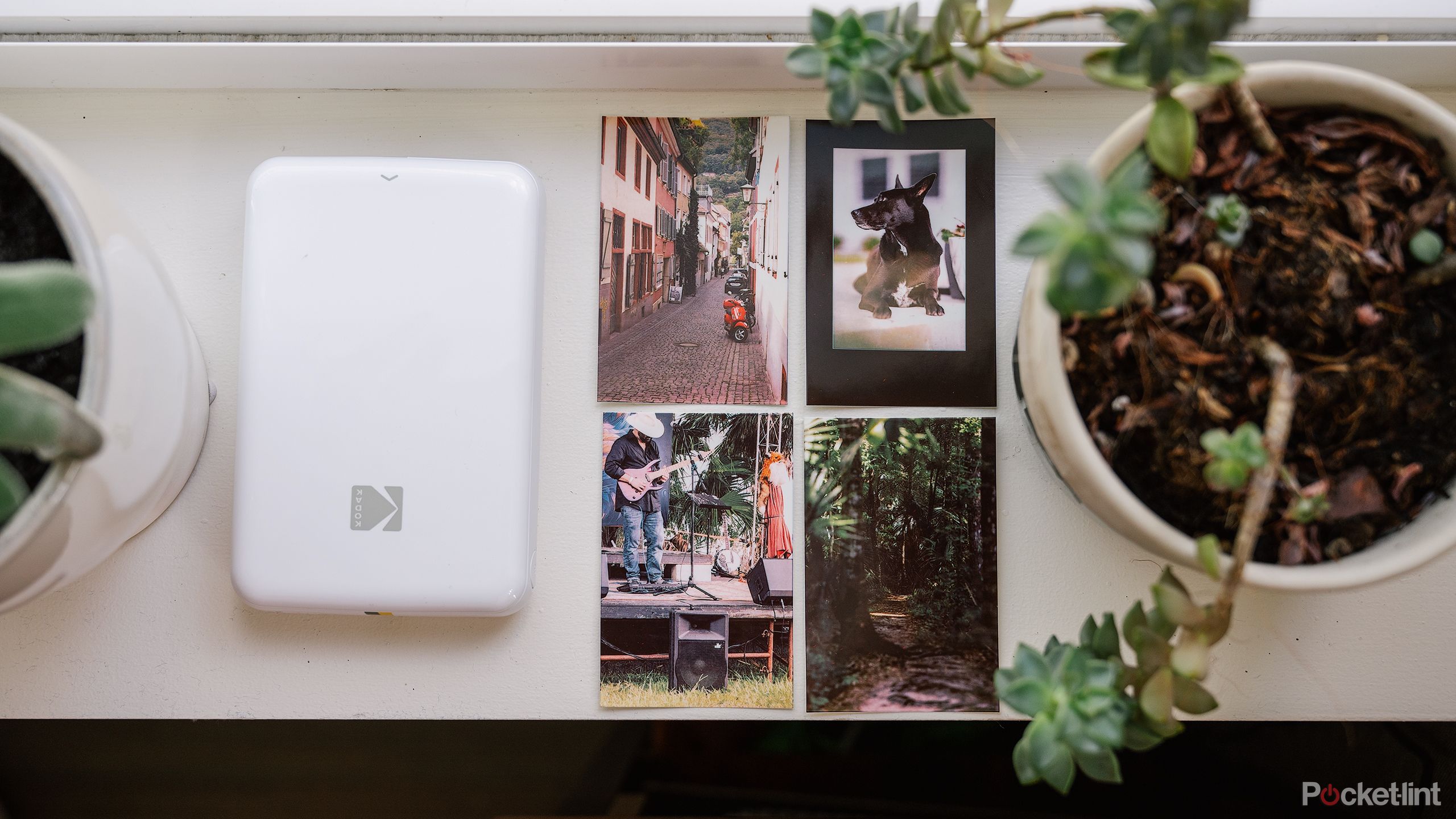 The white Kodak Step Mobile Photo Printer and four prints sit on a windowsill between plants. 