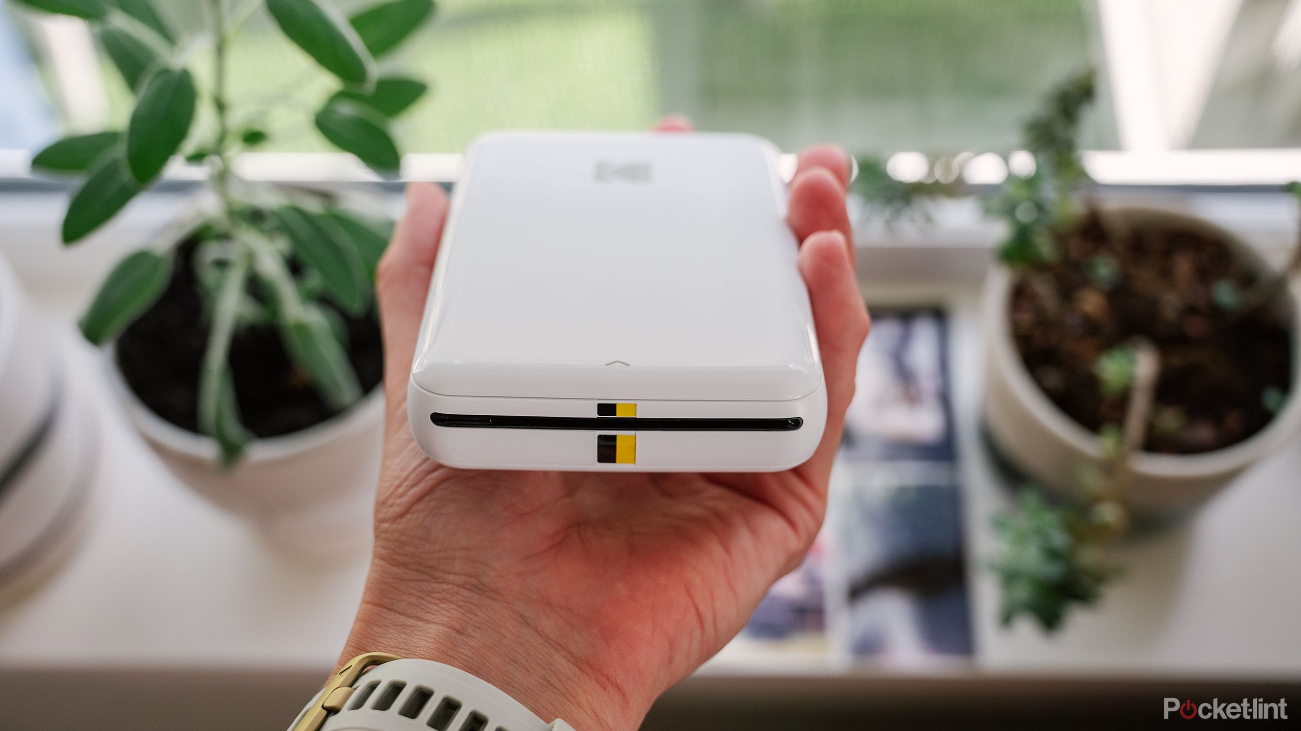 A hand holds the white Kodak Step Mobile Photo Printer in front of a windowsill with plants. 