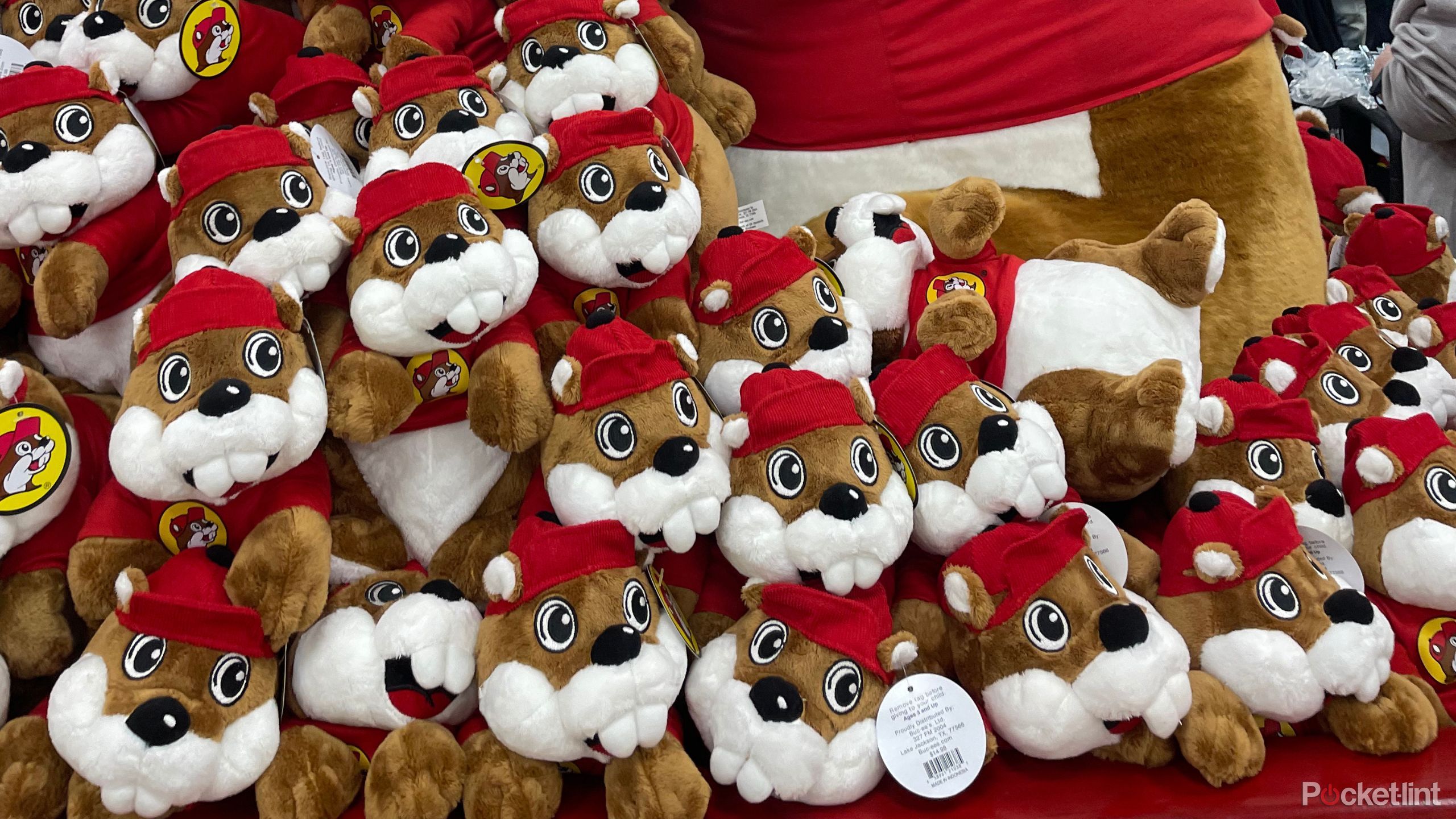 Many beaver stuffed animals in a pile. 