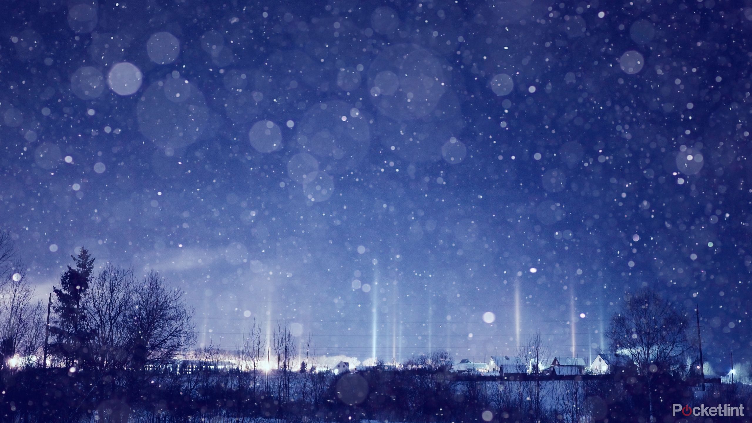 snowy night. 