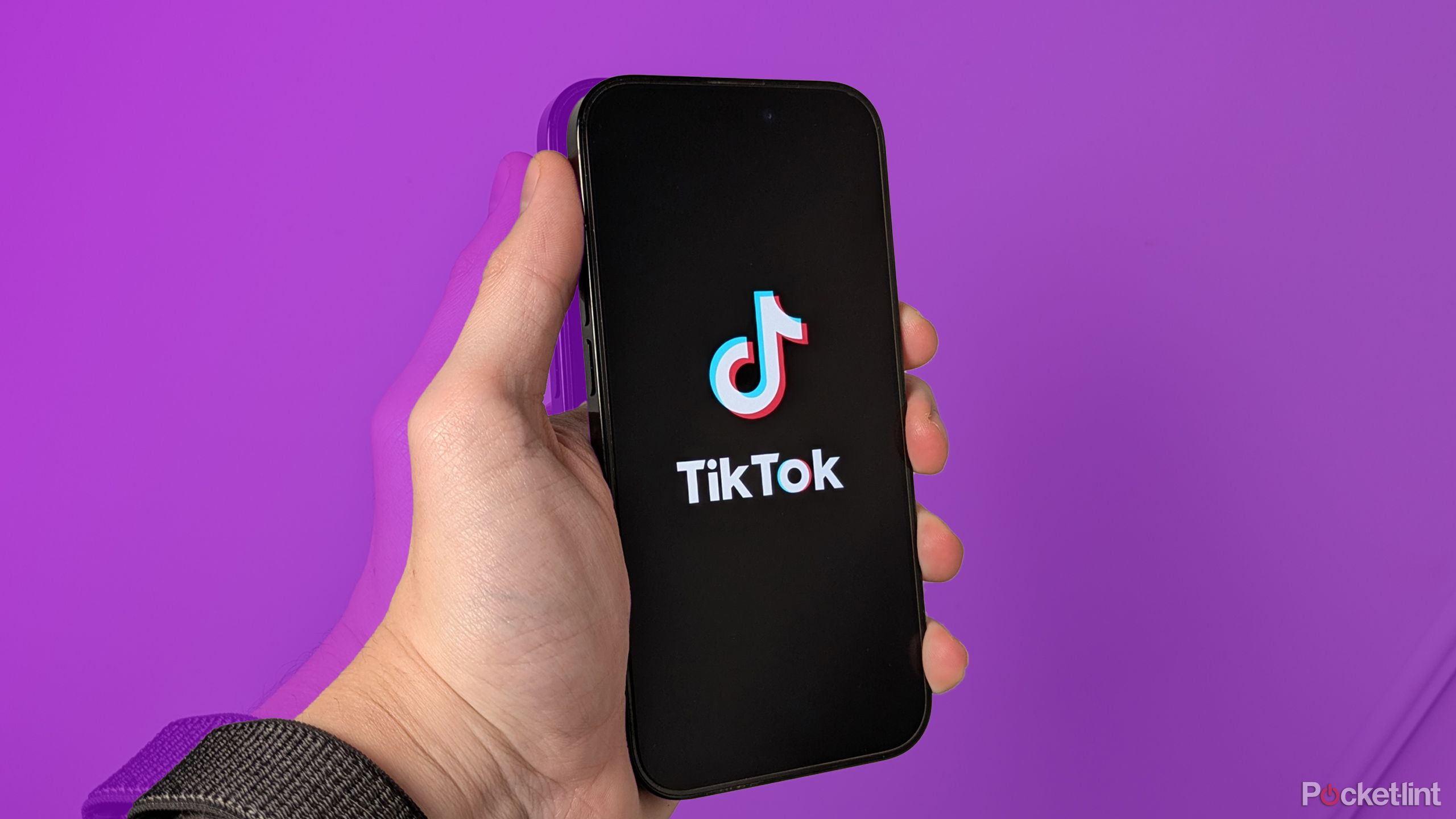 TikTok makes last ditch effort to stop ban with just weeks left