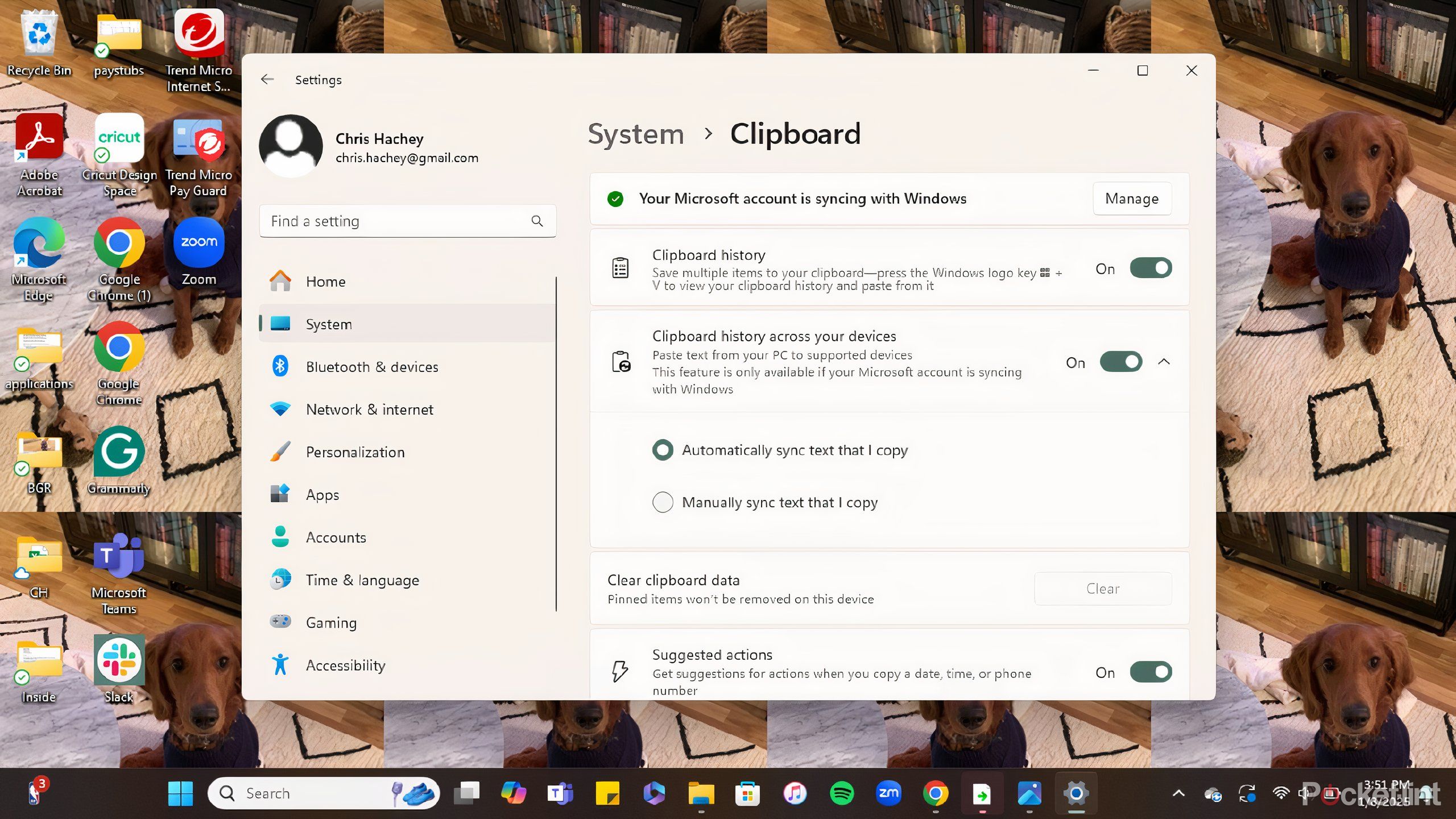 Clipboard full settings on a screenshot on a PC. 