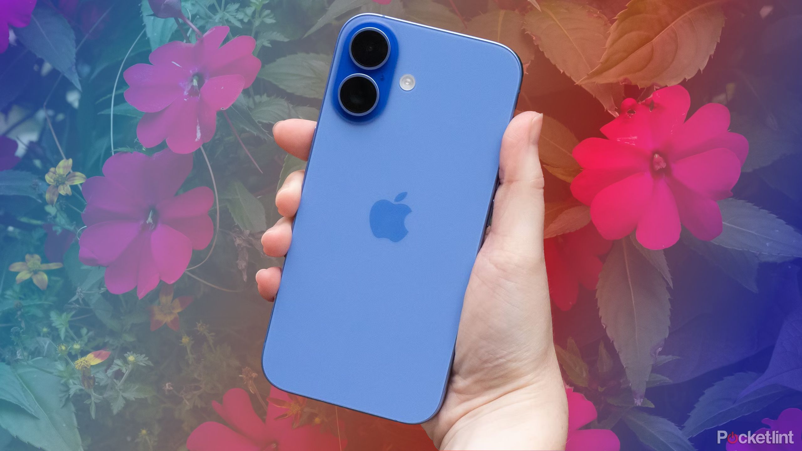 iPhone 16 on blue and red background with flowers