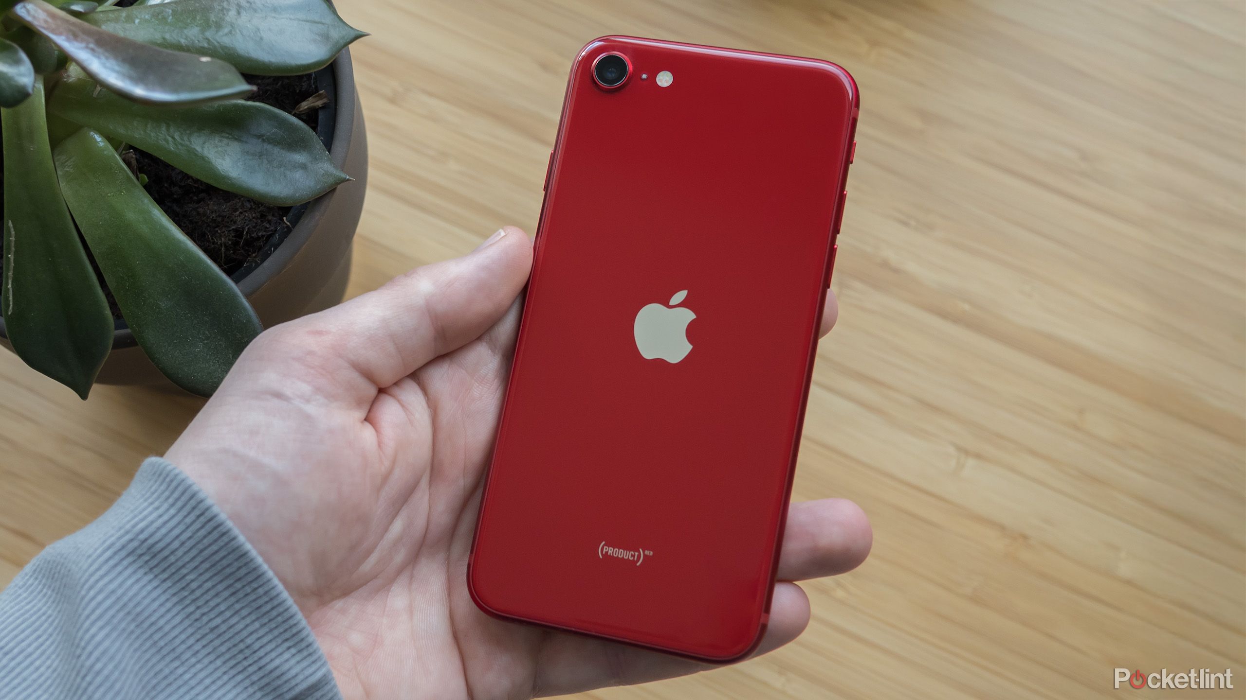 iPhone SE Product Red