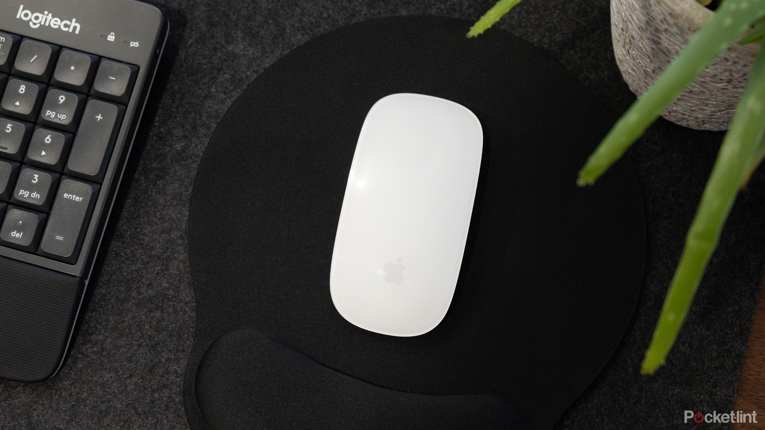 You might be able to talk to Apple’s Magic Mouse soon