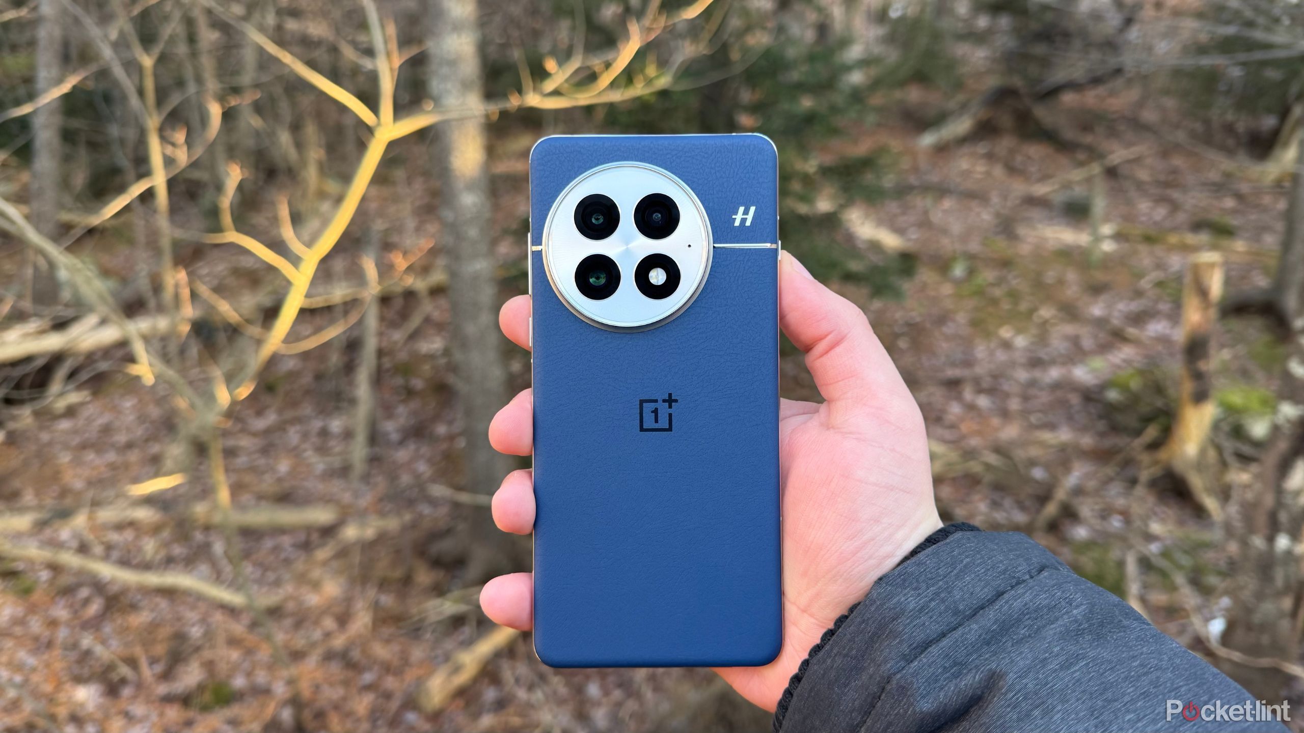 A person holding the OnePlus 13 against a wooded area. 