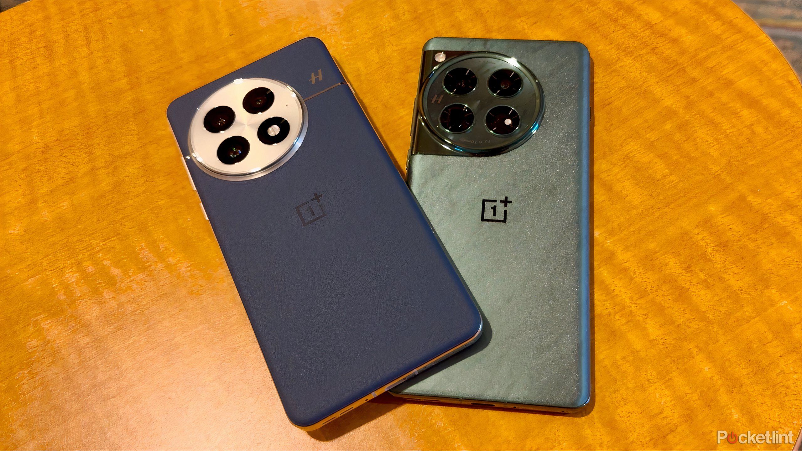 Two OnePlus phones side by side. 