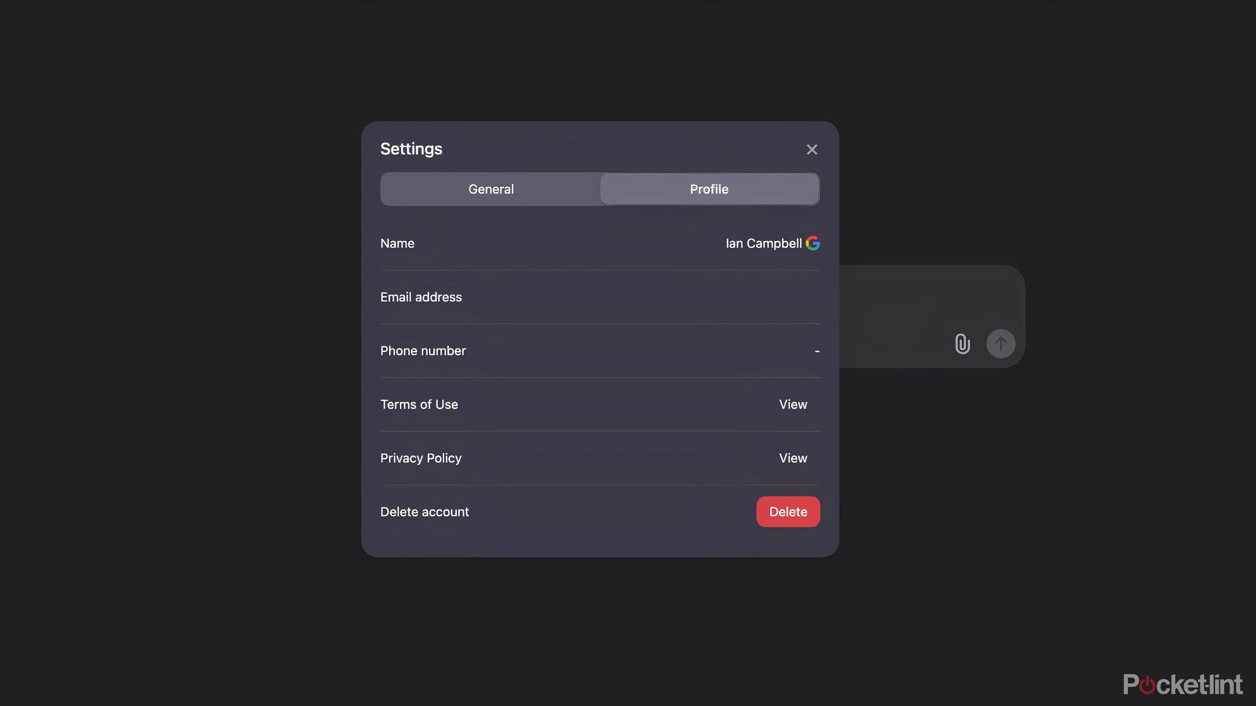 The limited settings options in DeepSeek.