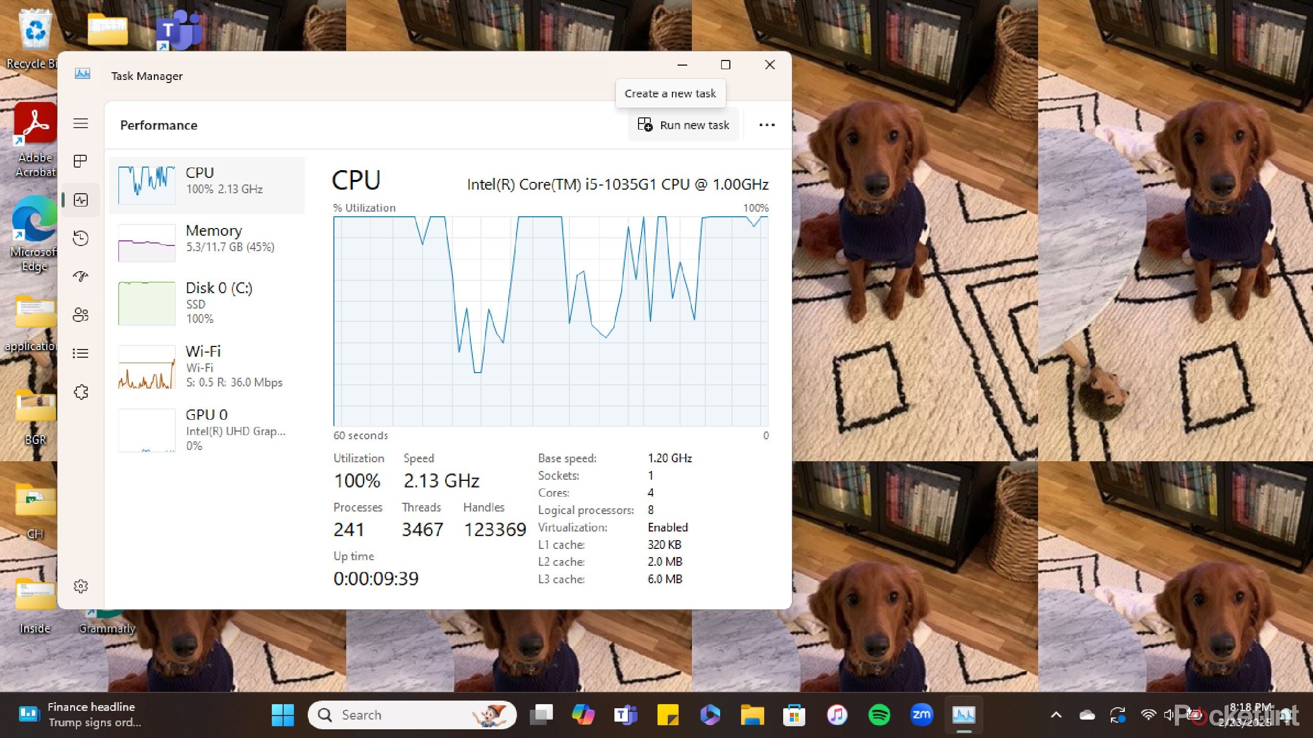 Task manager CPU usage. 