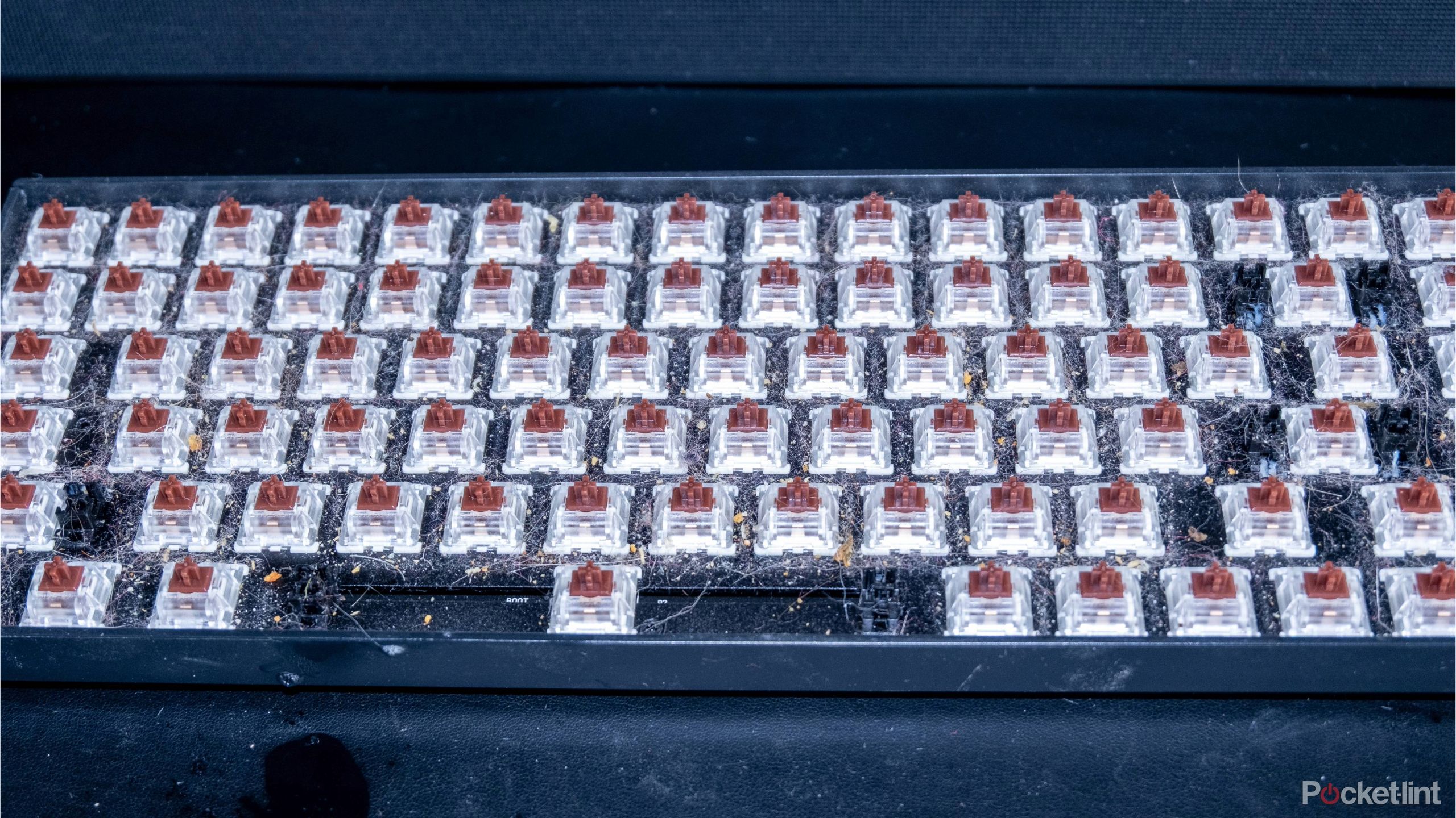 A photograph of a dirty keyboard with all the keycaps removed.