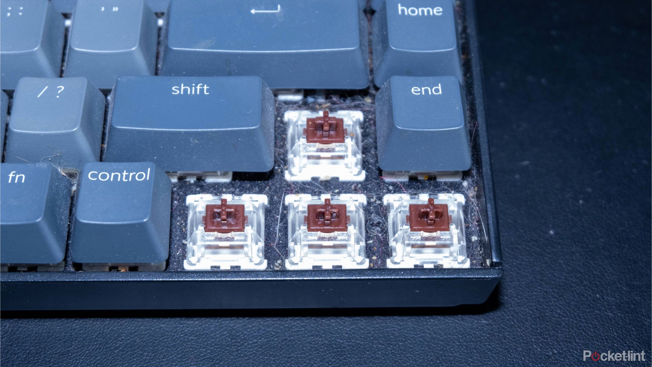 A photograph of the arrow keys removed from a mechanical keyboard.