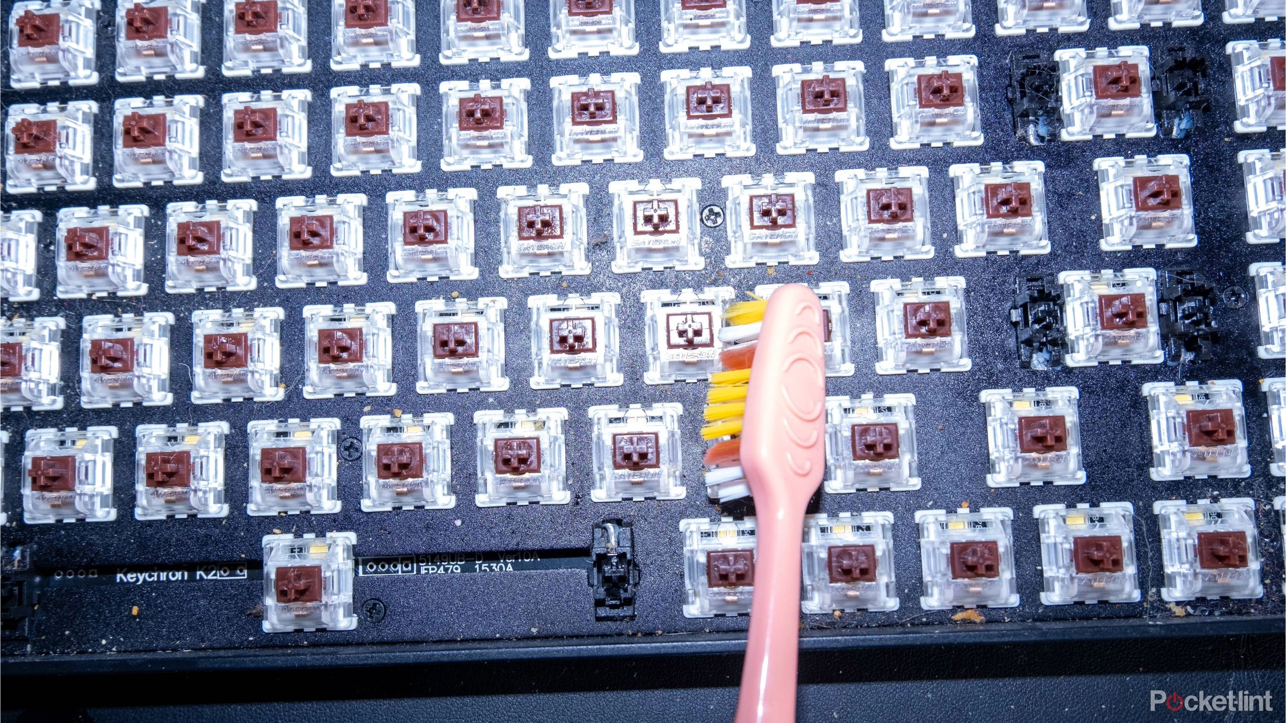 A photograph of a toothbrush being applied to a keyboard.