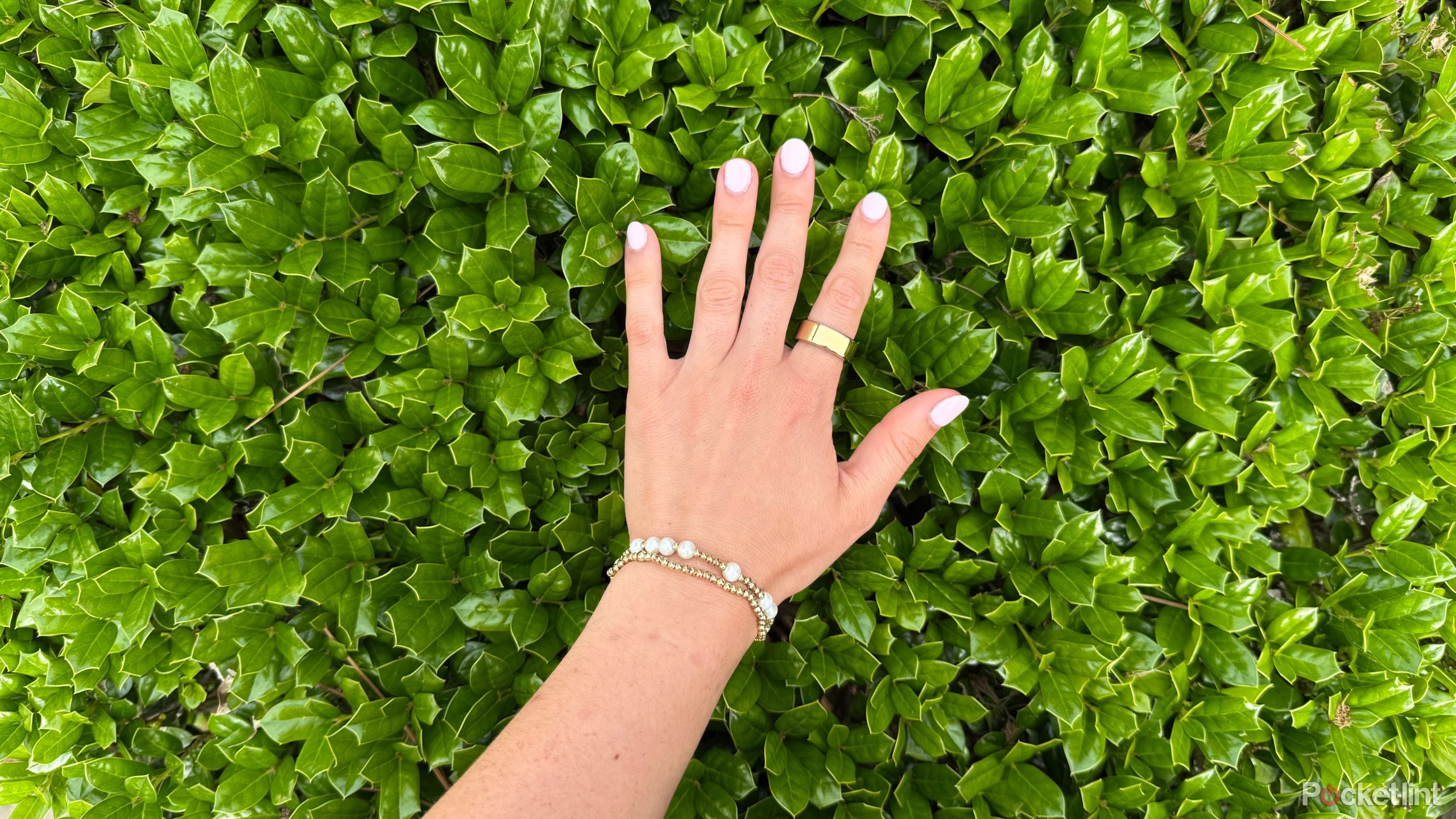 A person with an Oura Ring on over a hedge. 