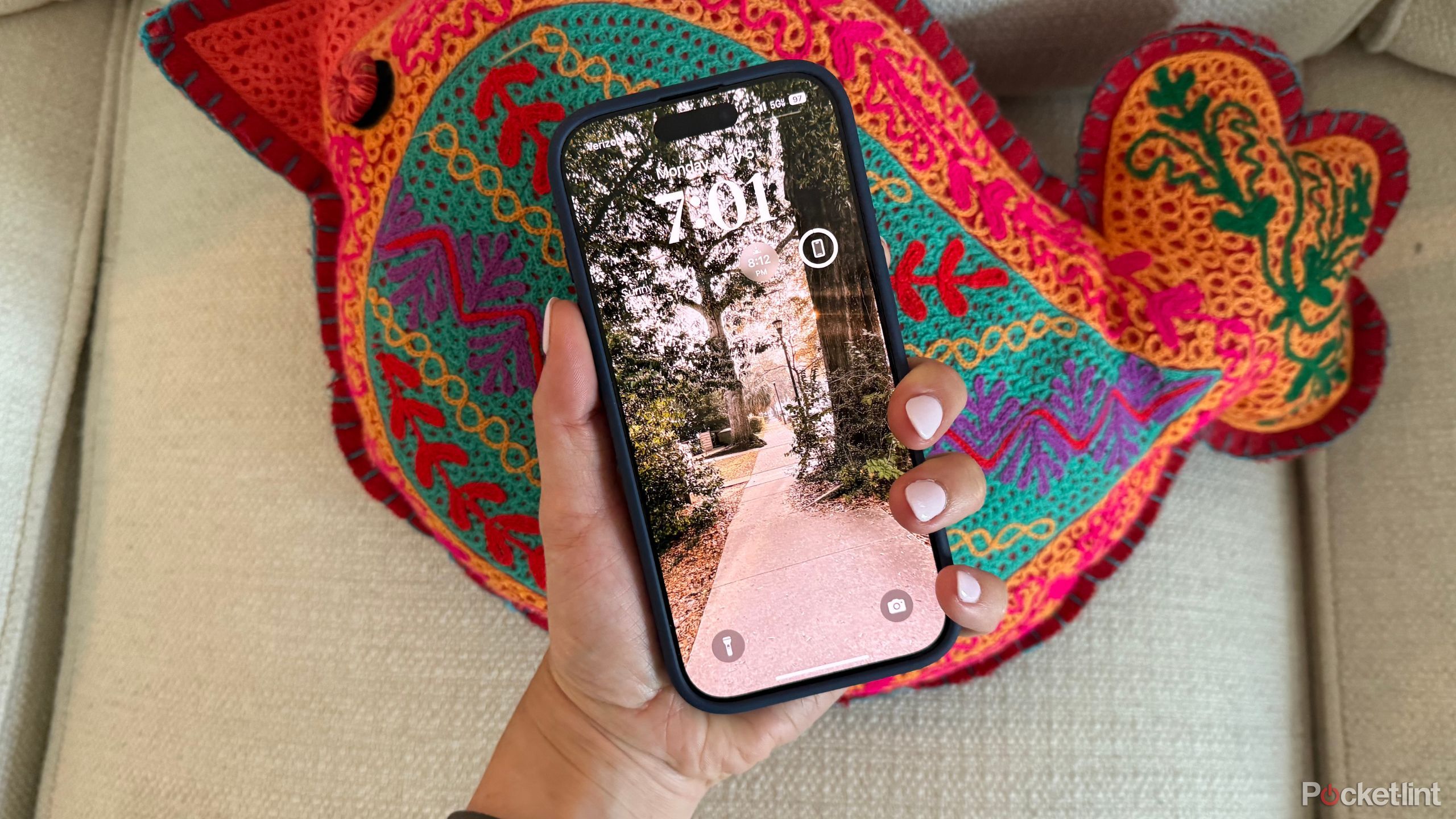 An iPhone 16 Pro lock screen and bird pillow.