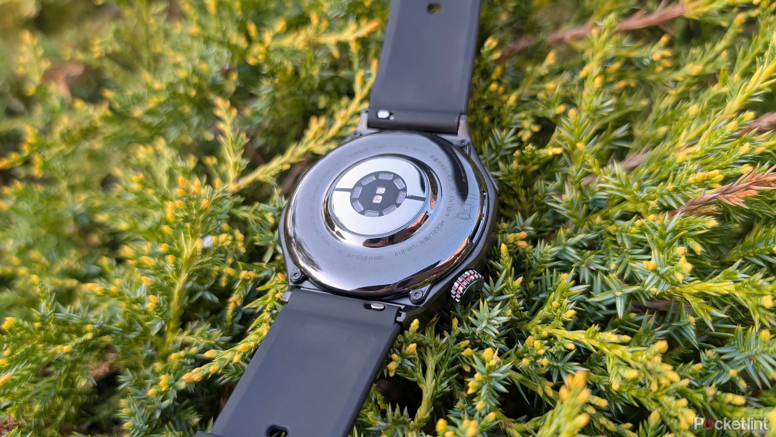 HONOR Watch 5 Ultra beauty 2