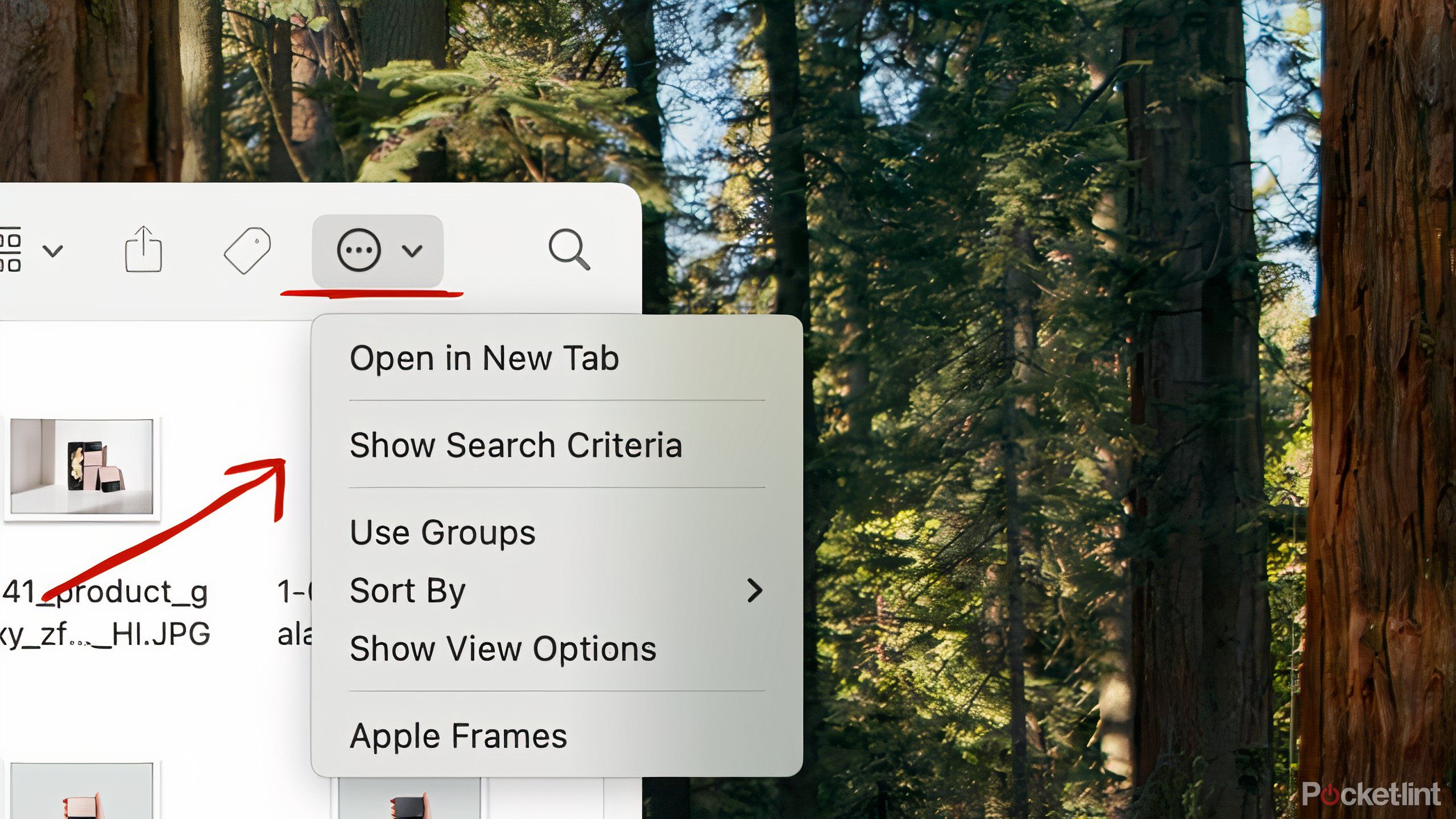 The Options menu in a Smart Folder.