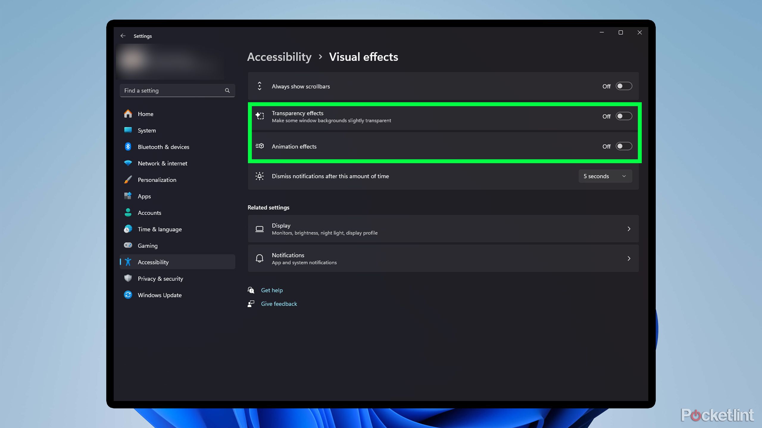 Windows 11 visual effect options.