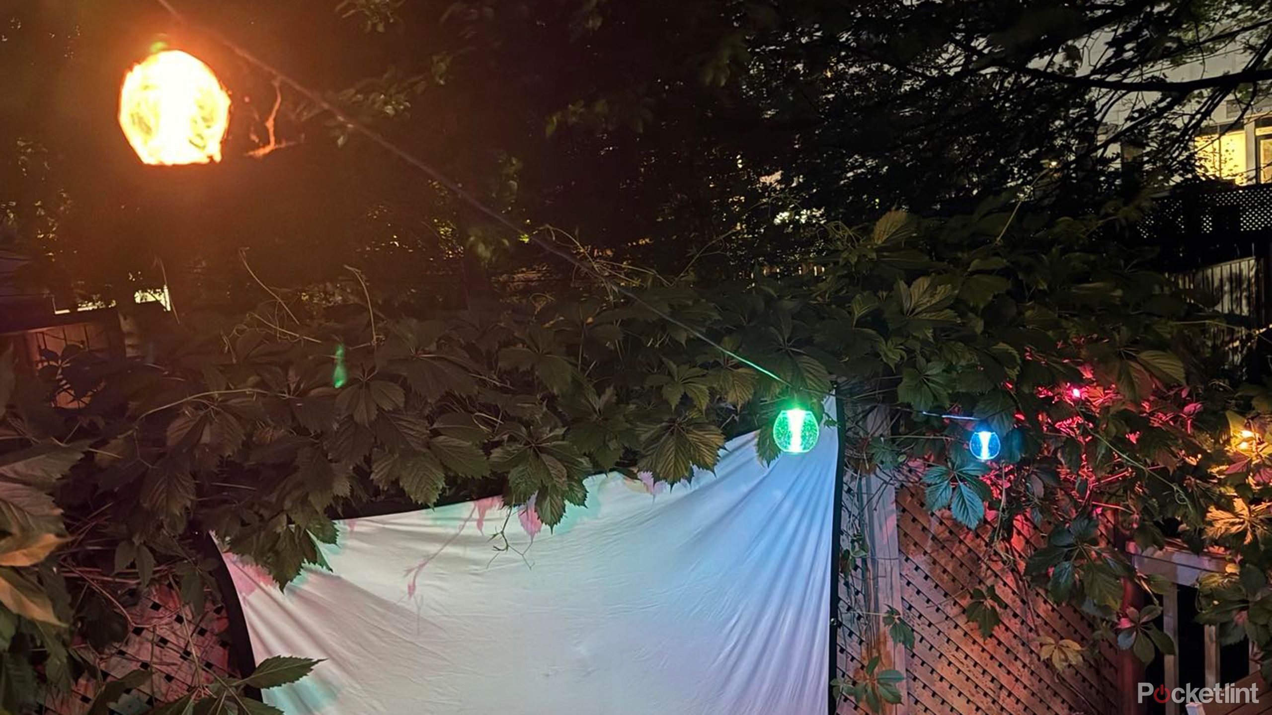 Govee Outdoor strings lights hanging over a blank projector screen