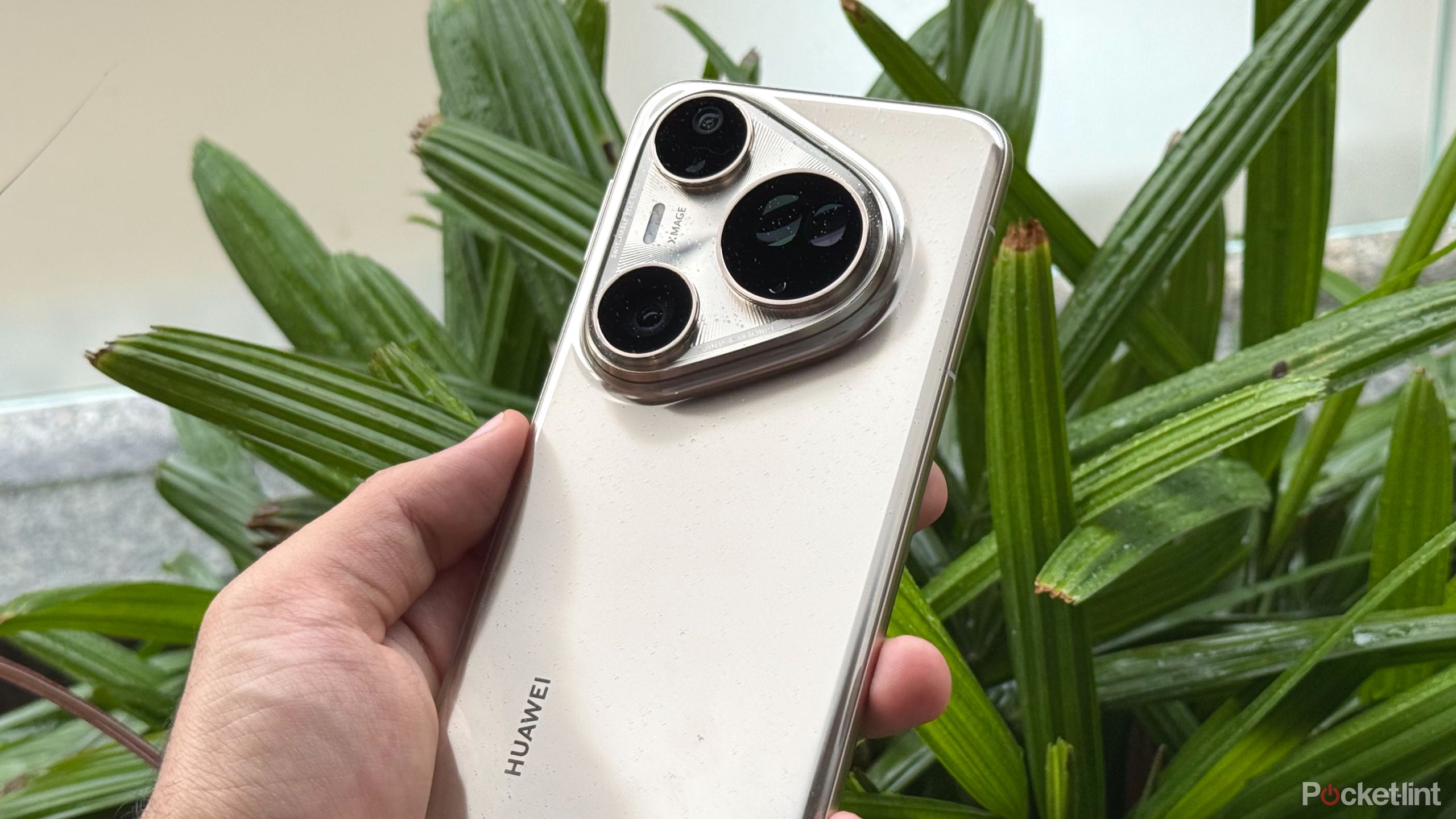 Huawei Pura 80 Ultra in front of green plants showcasing its rear design