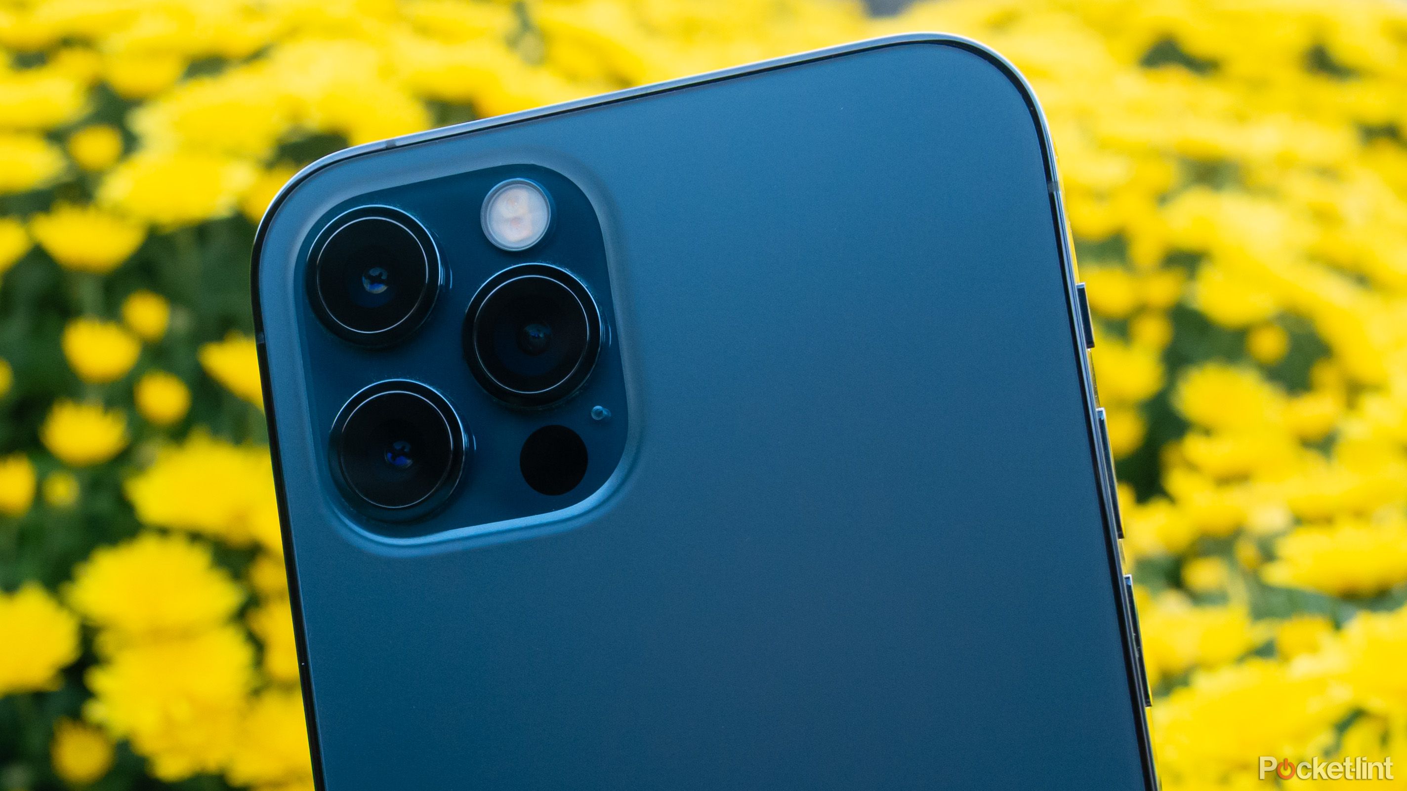 iPhone 11 Pro 