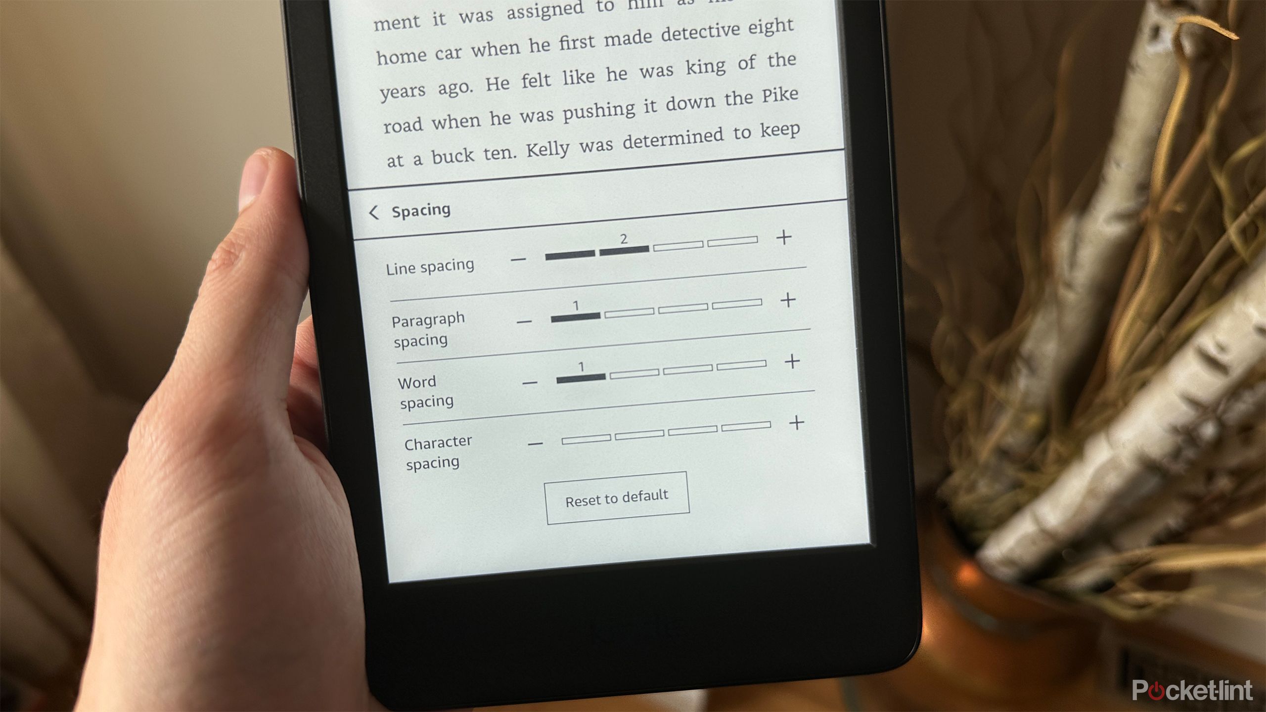 Kindle Spacing Options.