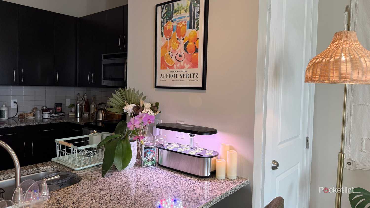 A LetPot garden on a kitchen counter. 